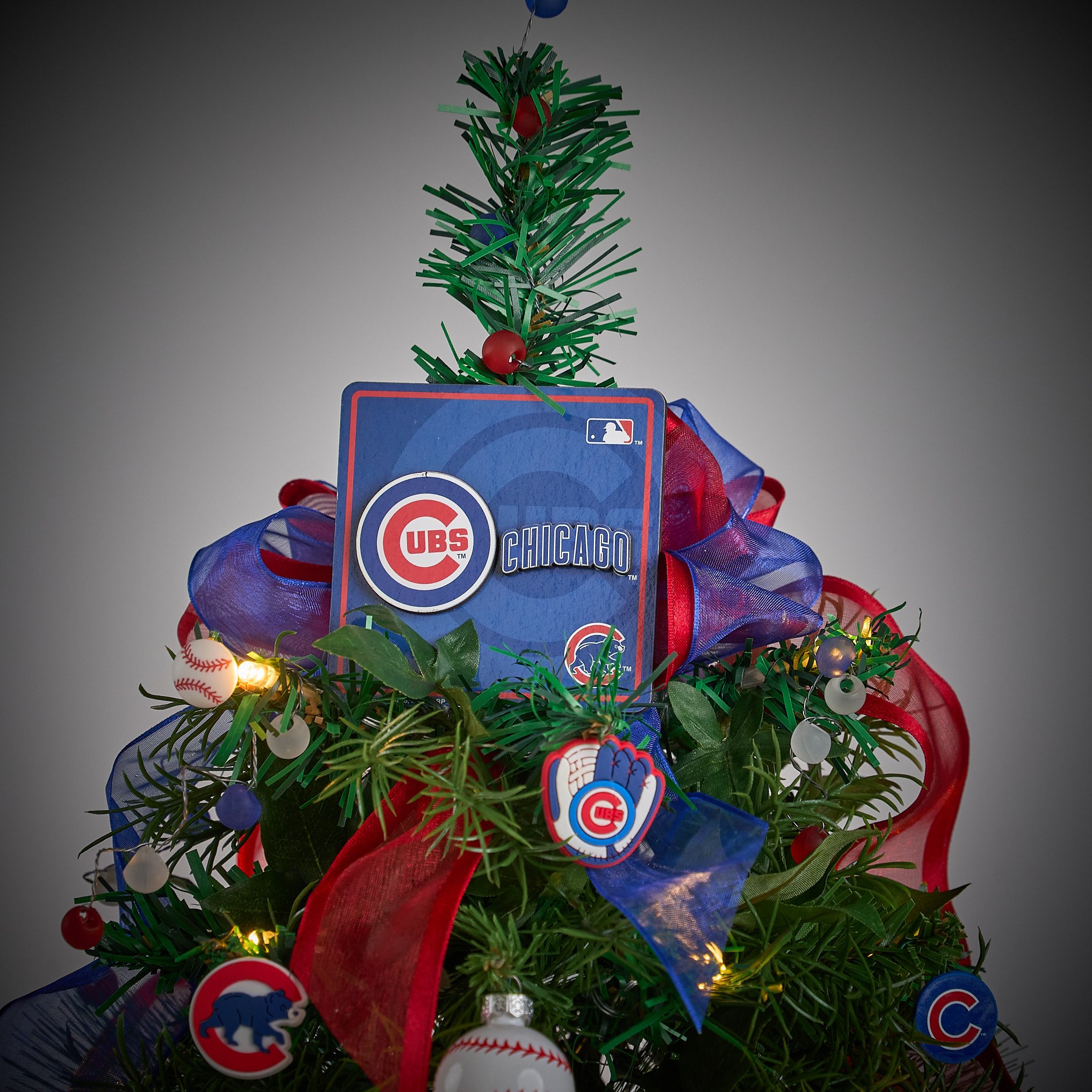cubs 0283.jpg