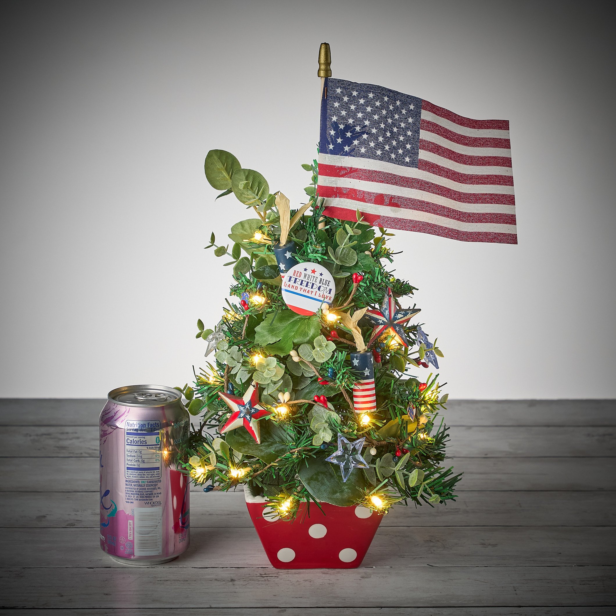 freedomfirecracker0266.jpg
