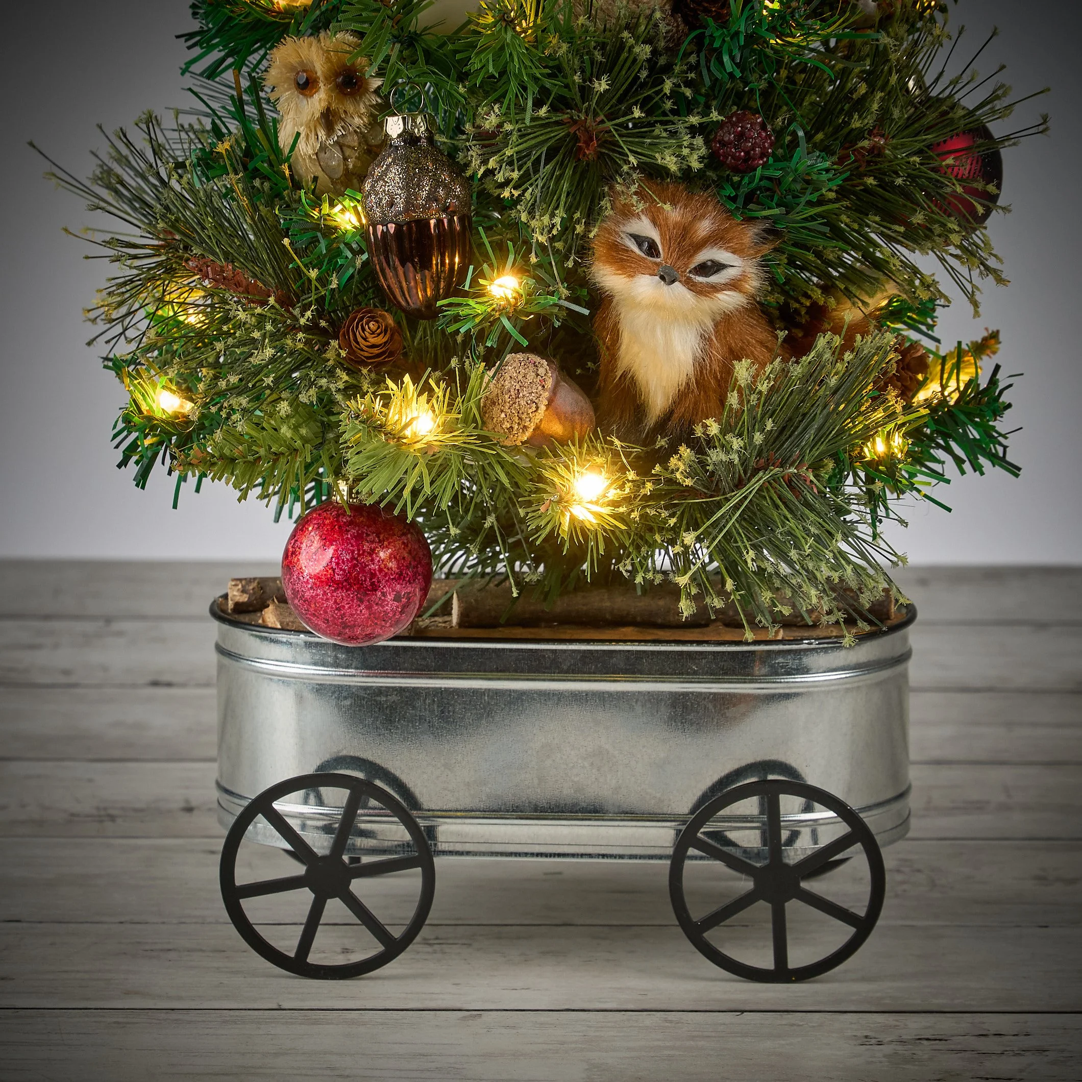 animal wagon2104.jpg
