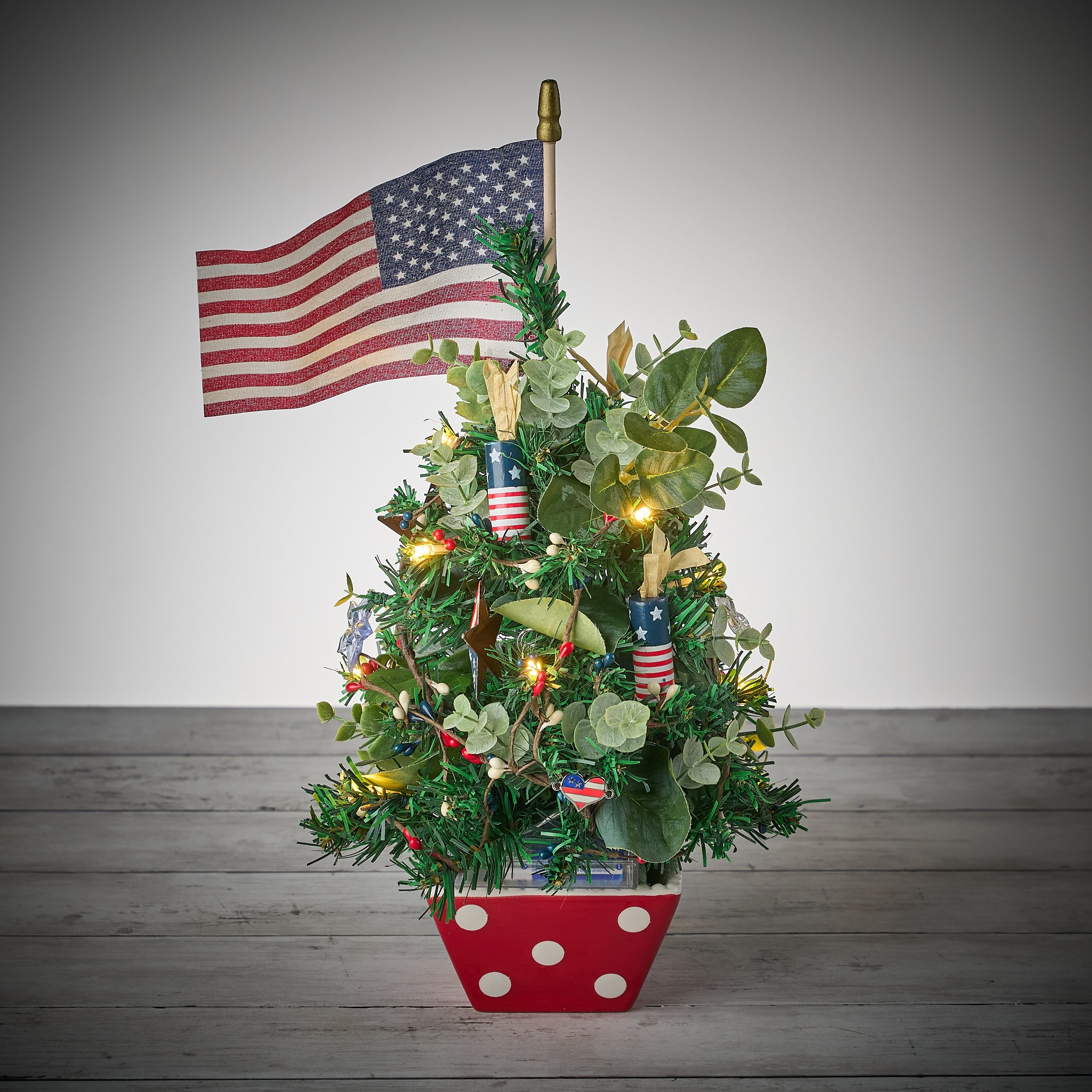 freedomfirecracker0268.jpg