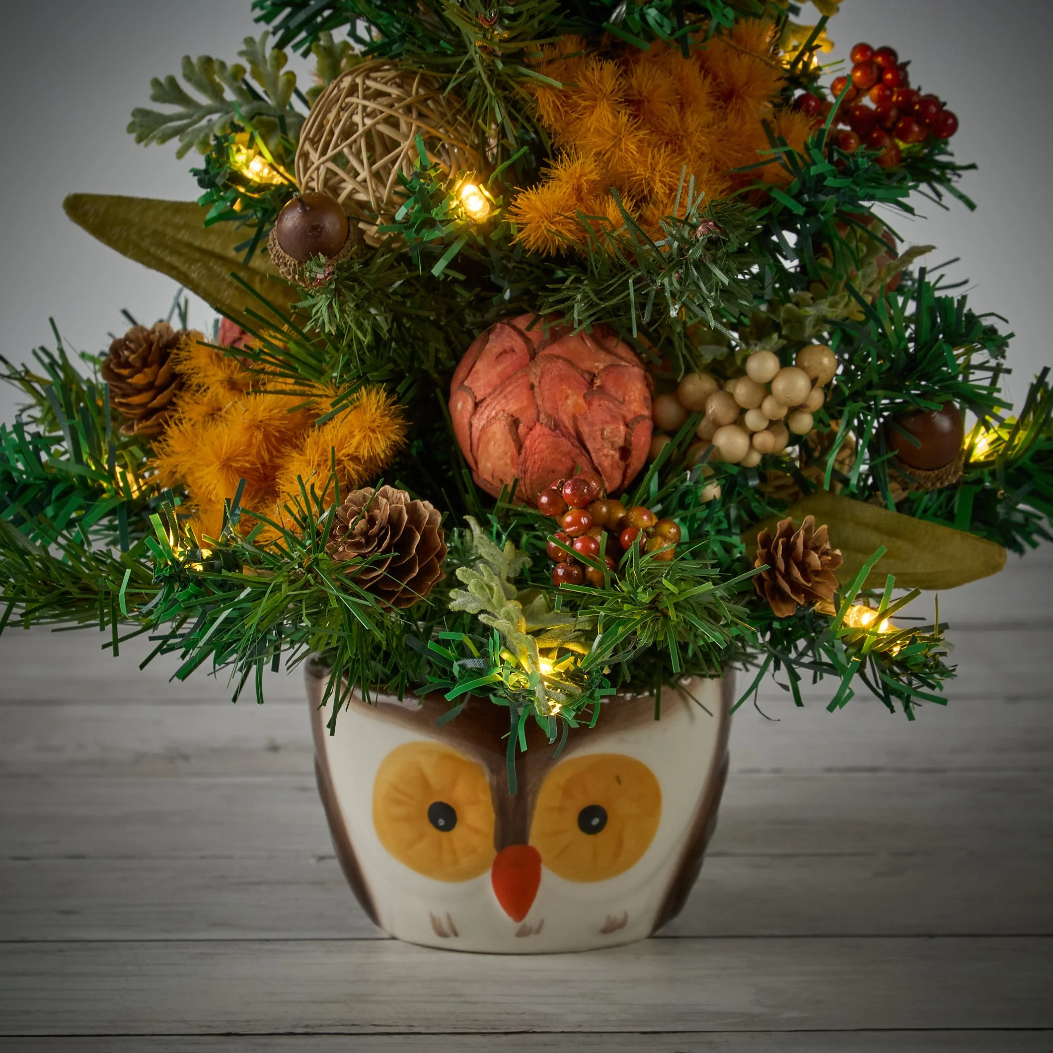 owl0848.jpg