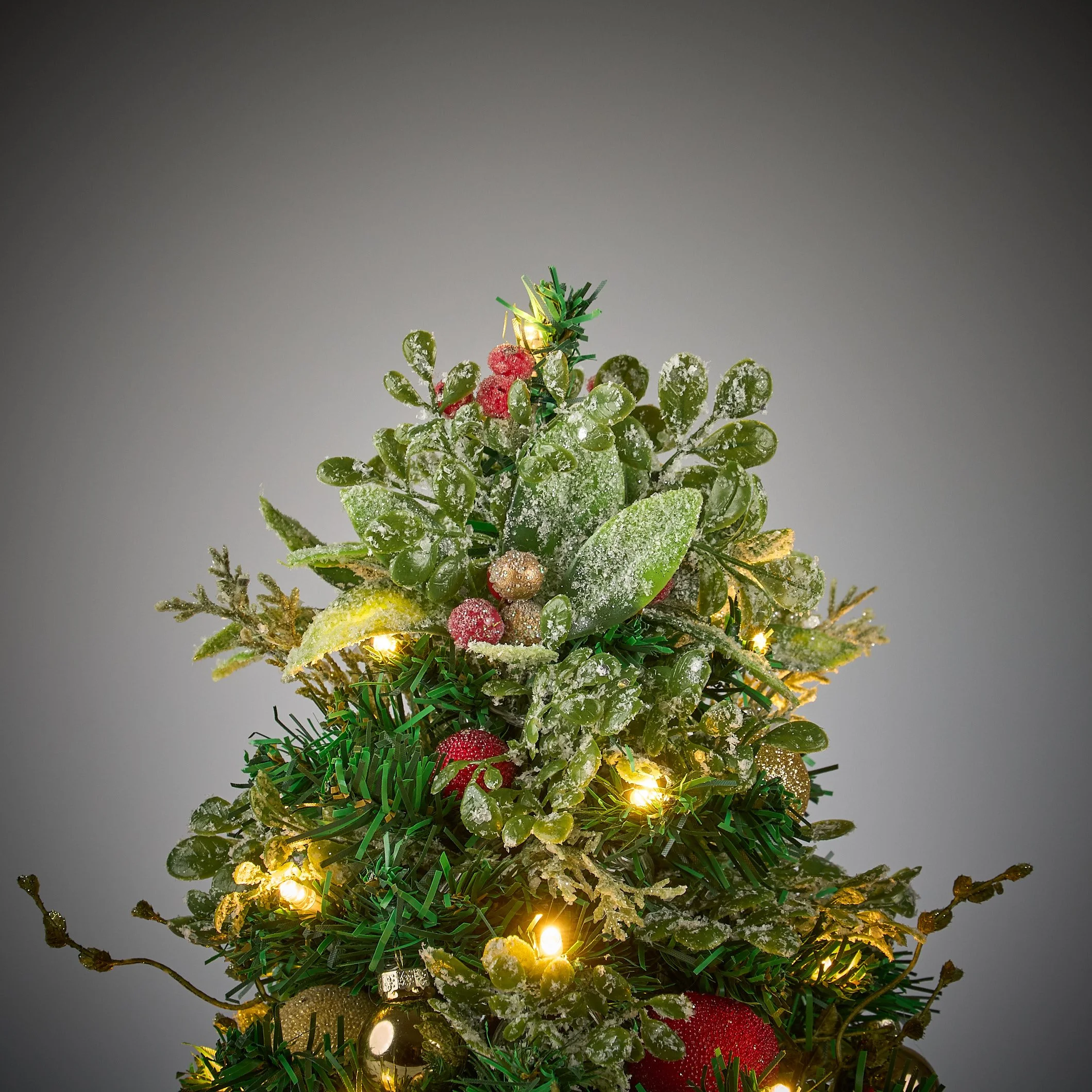 frosted holly2119.jpg
