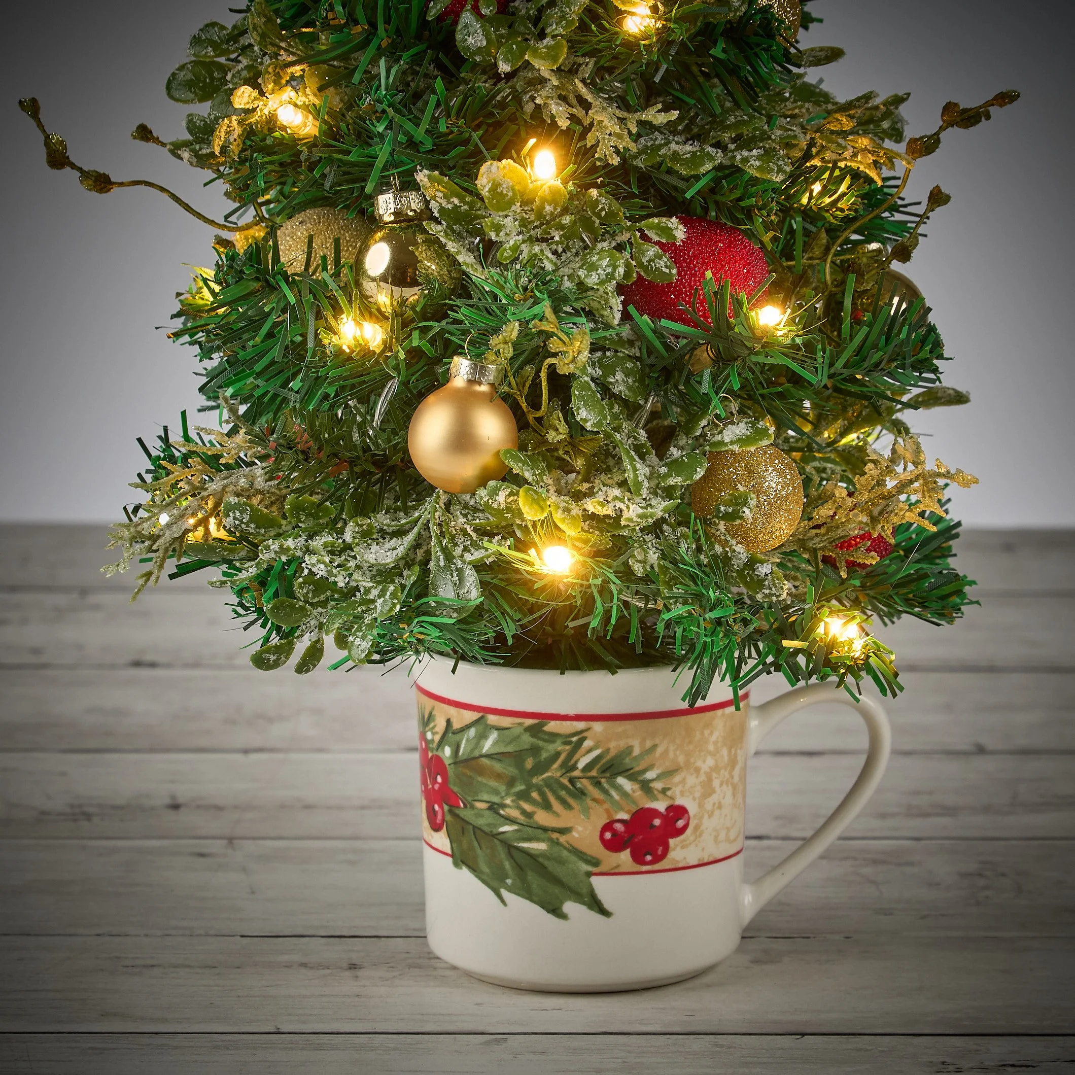 frosted holly2120.jpg