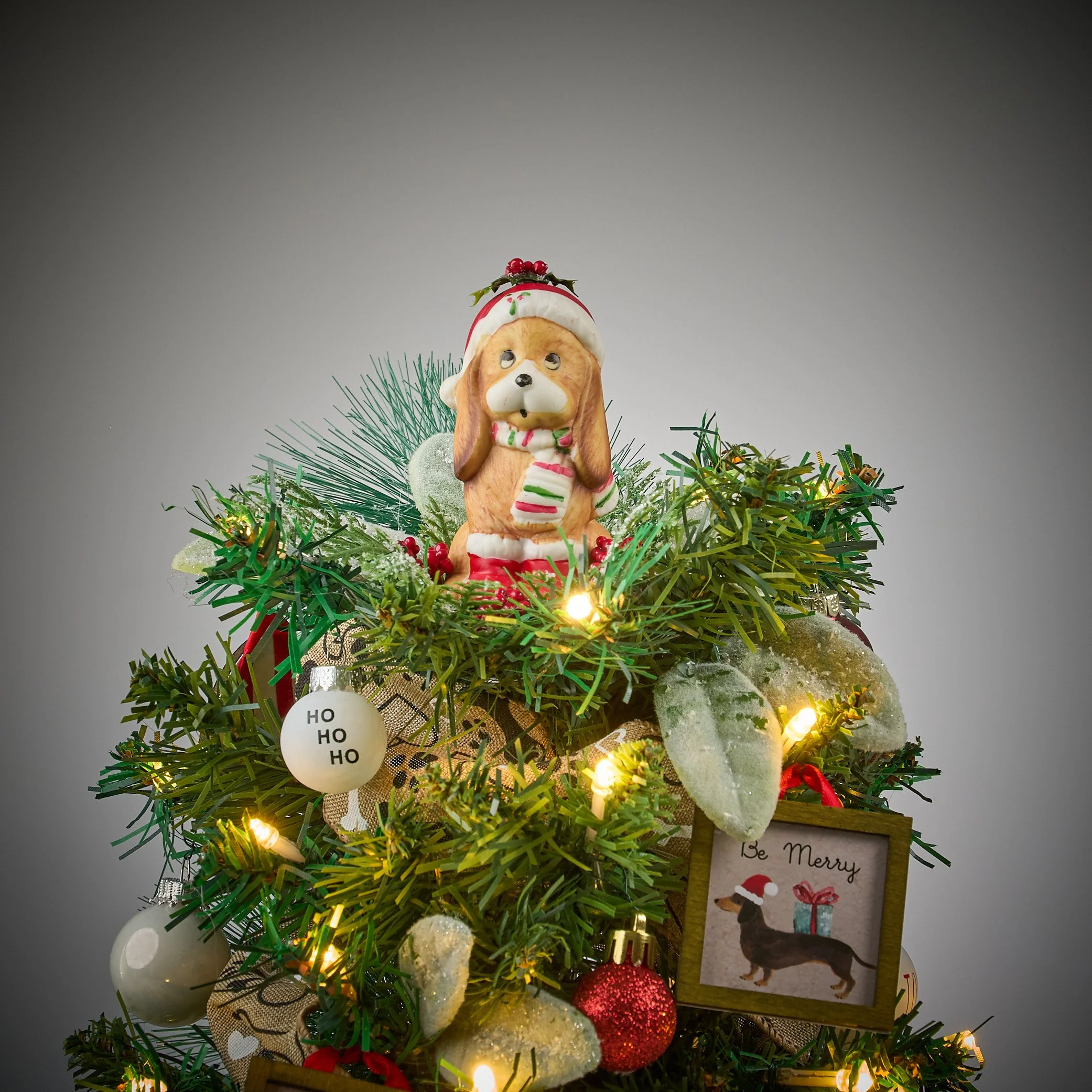 xmas pup0283.jpg