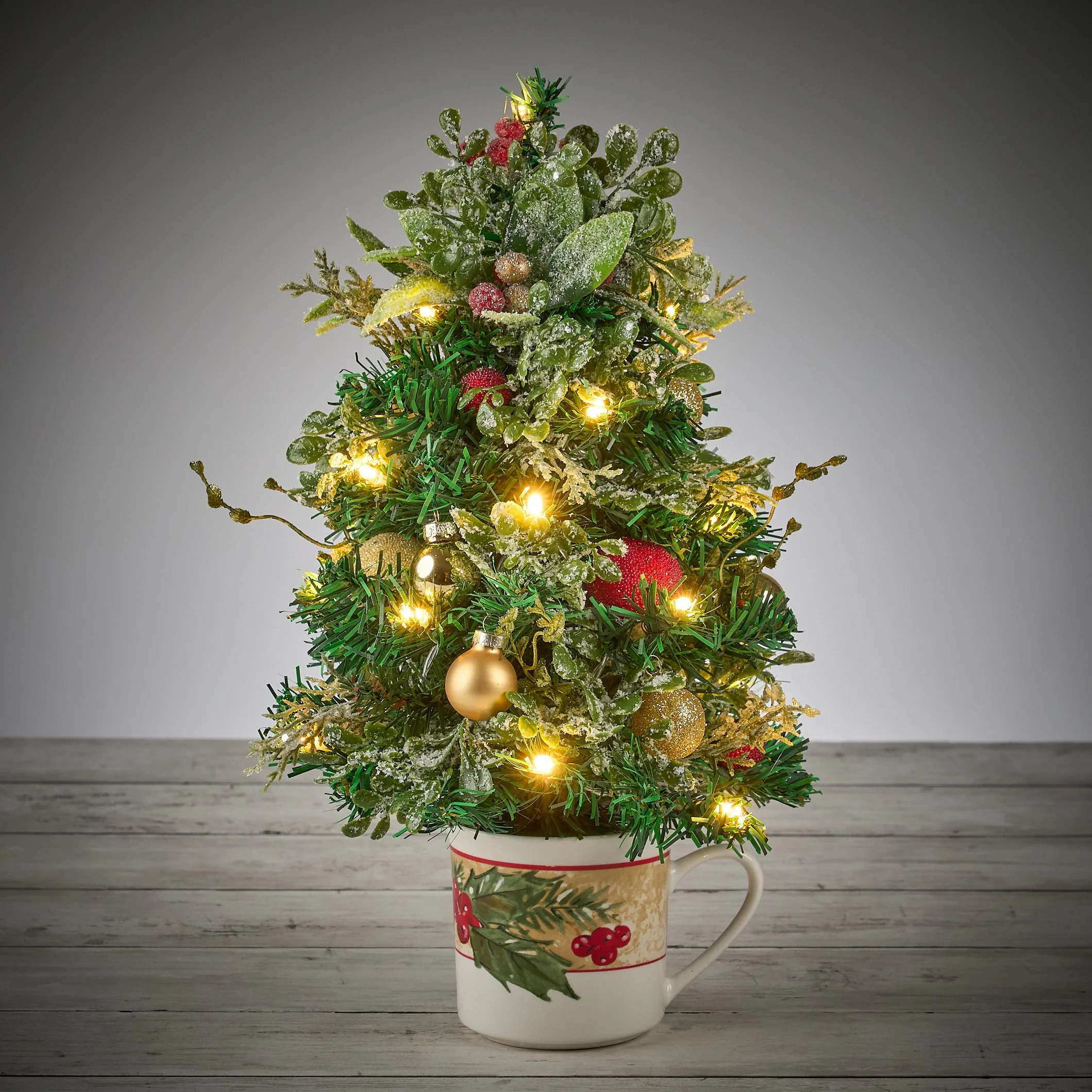 frosted holly2117.jpg