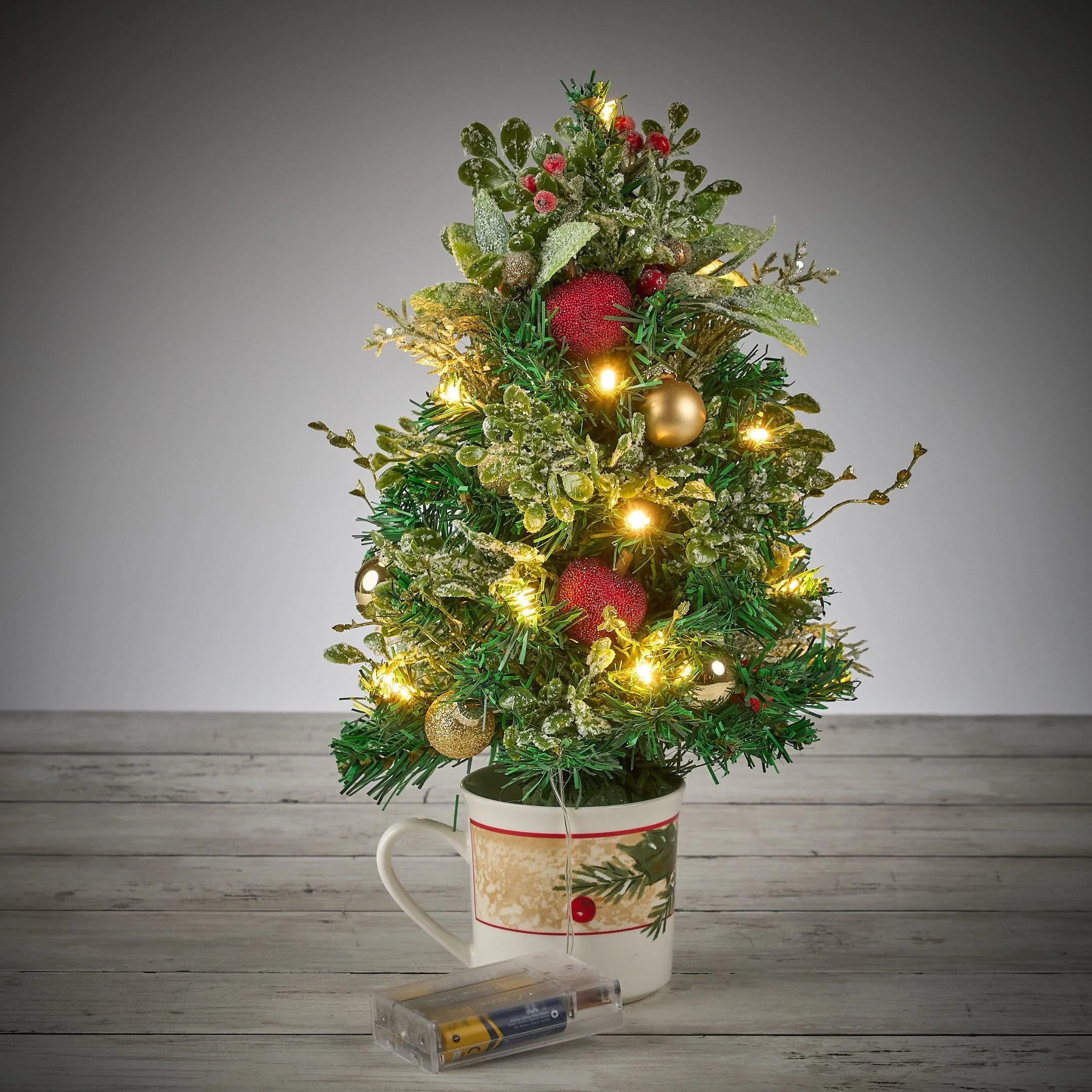frosted holly2121.jpg