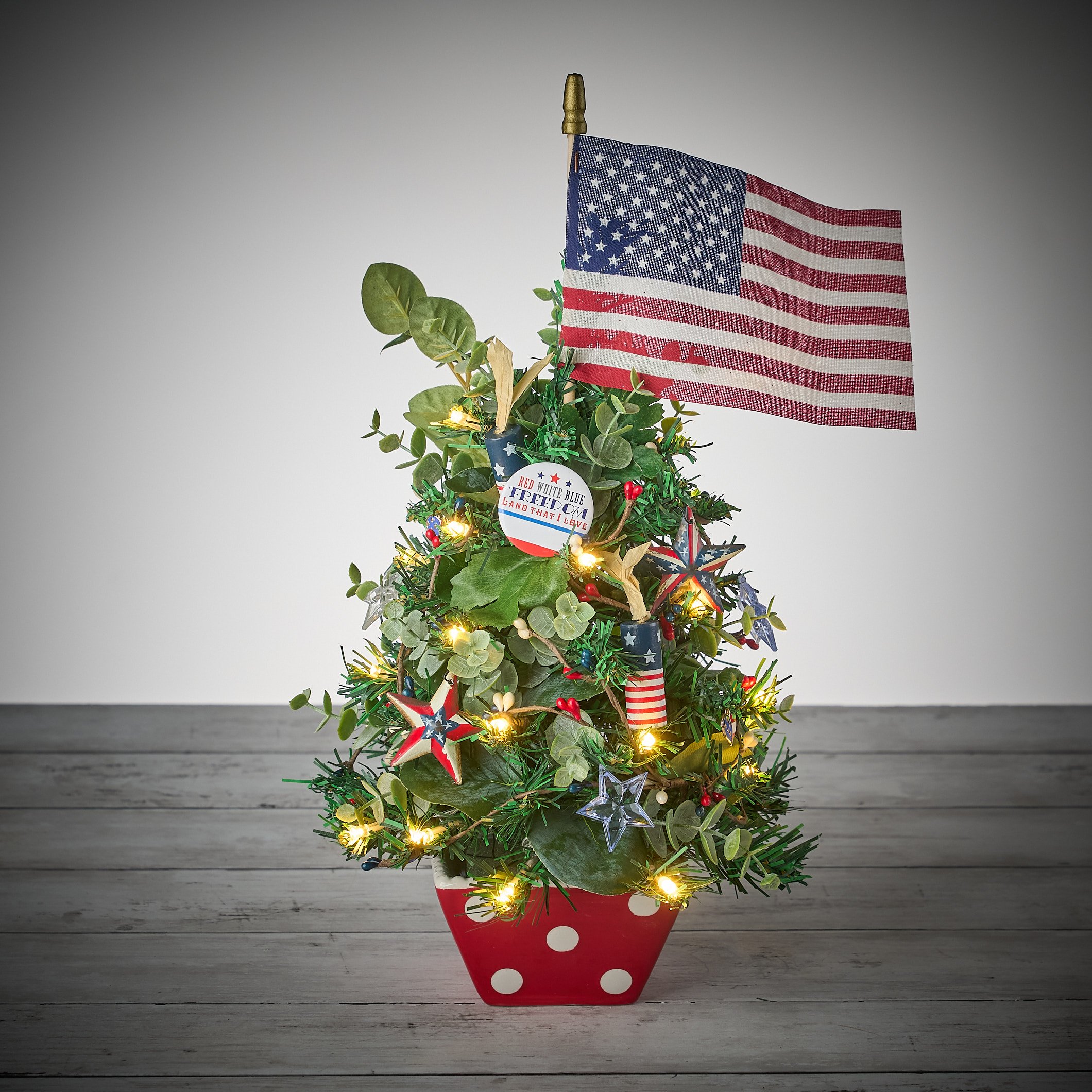 freedomfirecracker0265.jpg
