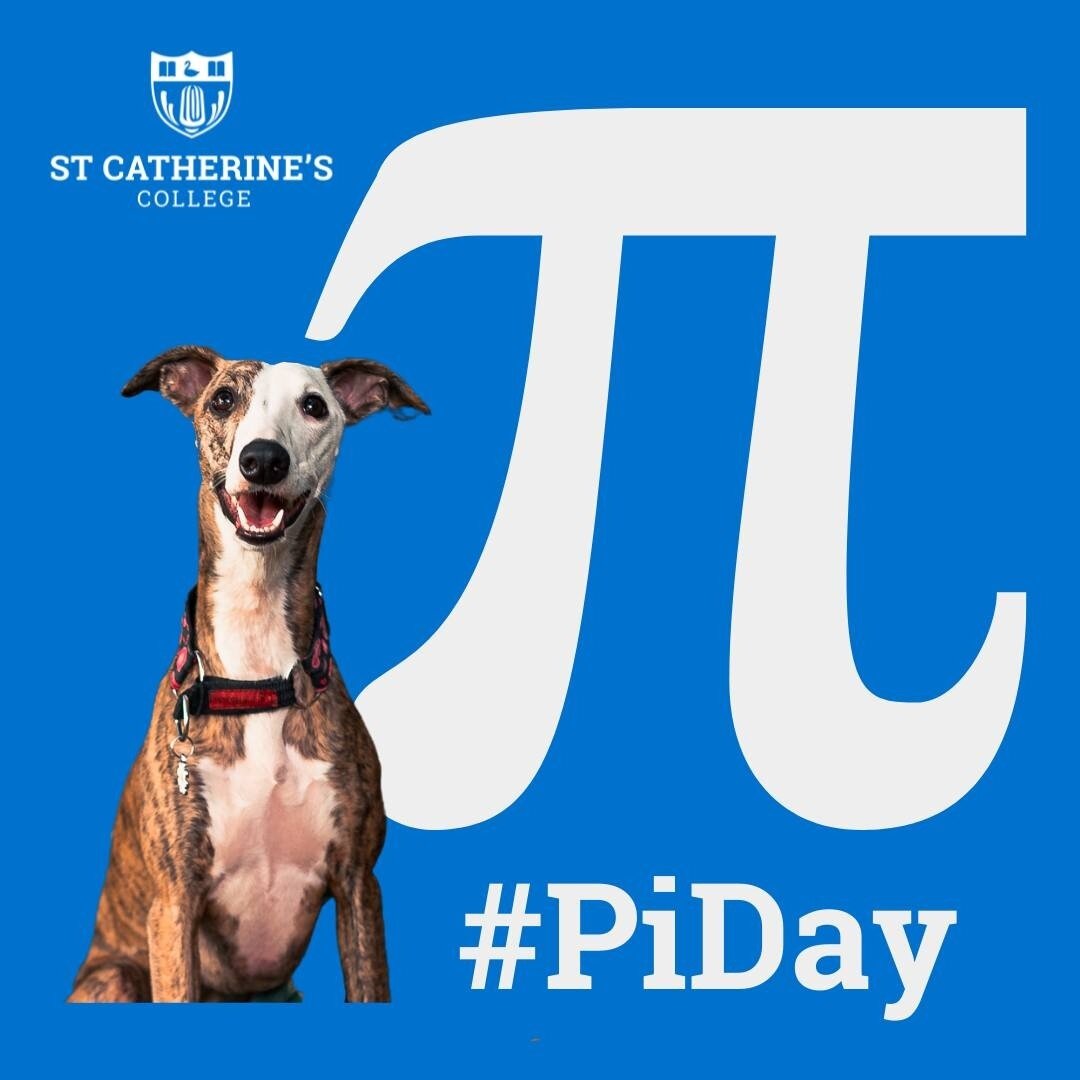 Happy Pi Day! 🥧

Our CEO's whippet Pi doesn't do maths but she is excited to hear that there is a special day all about her. Since 1988,  March 14th (3.14, get it?) has been a day to celebrate the mathematical constant Pi. But if geometry and irrati