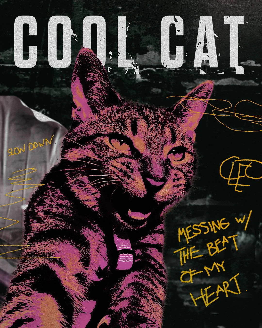 Cool Cat.jpg