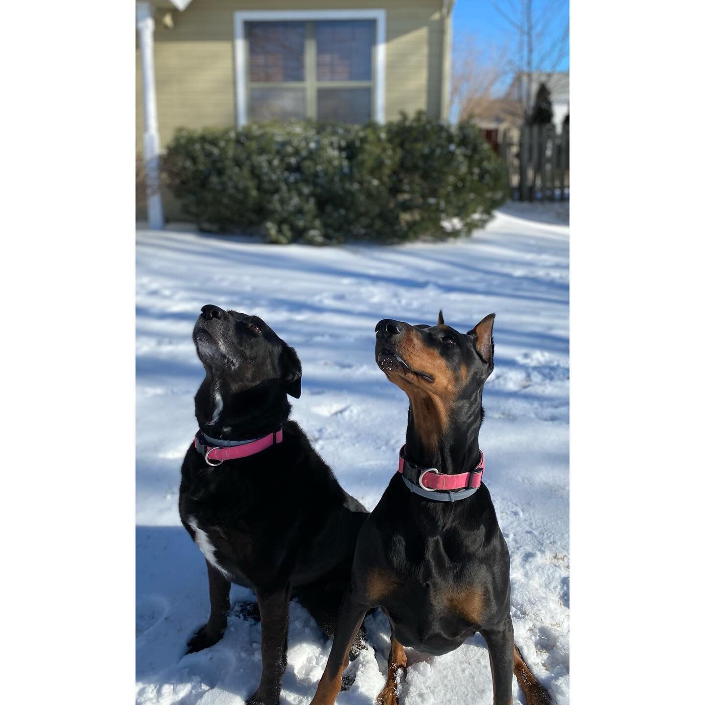 ❄️ Instagram vs Reality ❄️ 
Kansas Snowstorm Edition