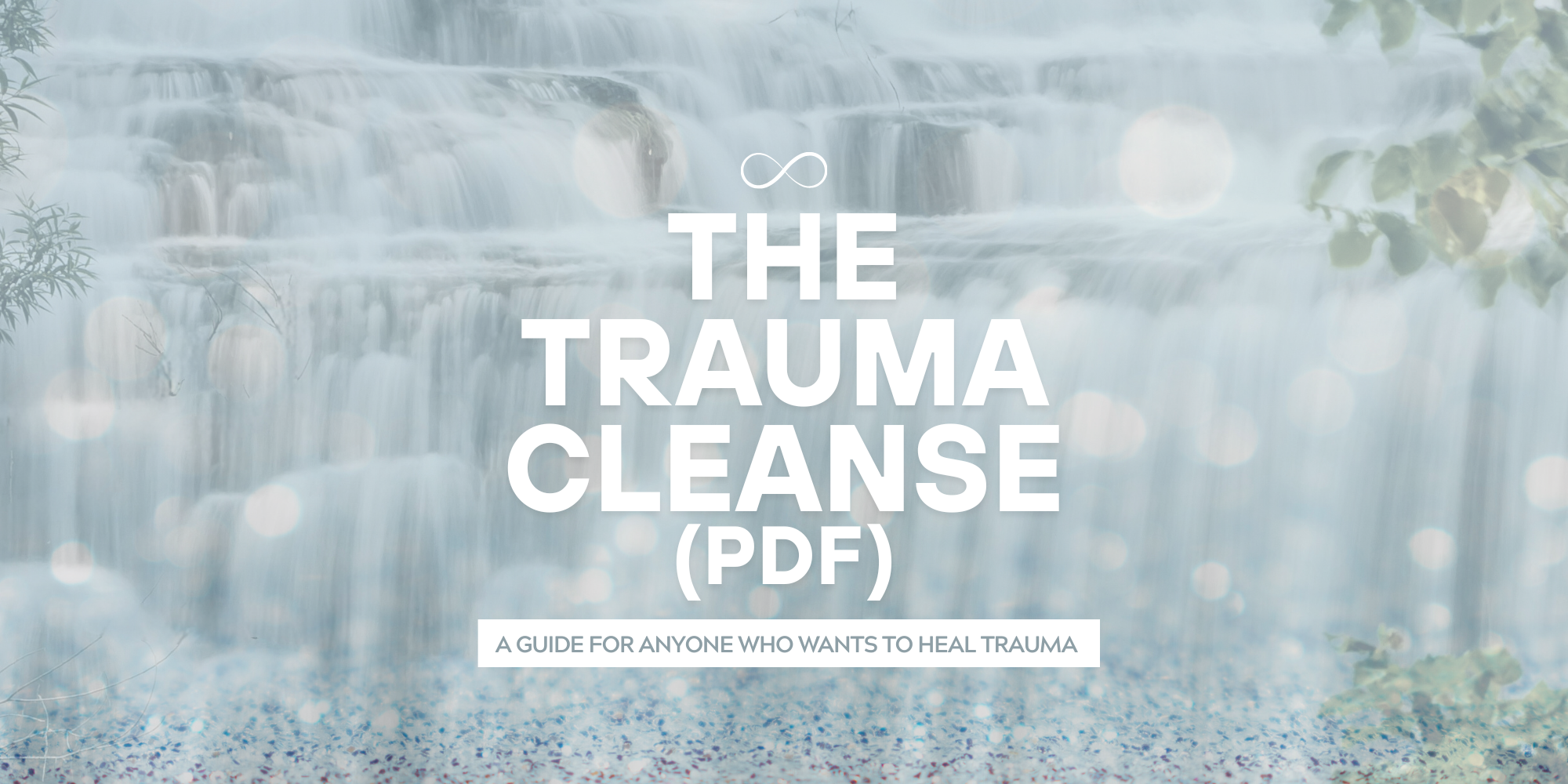 The Trauma Cleanse (PDF)