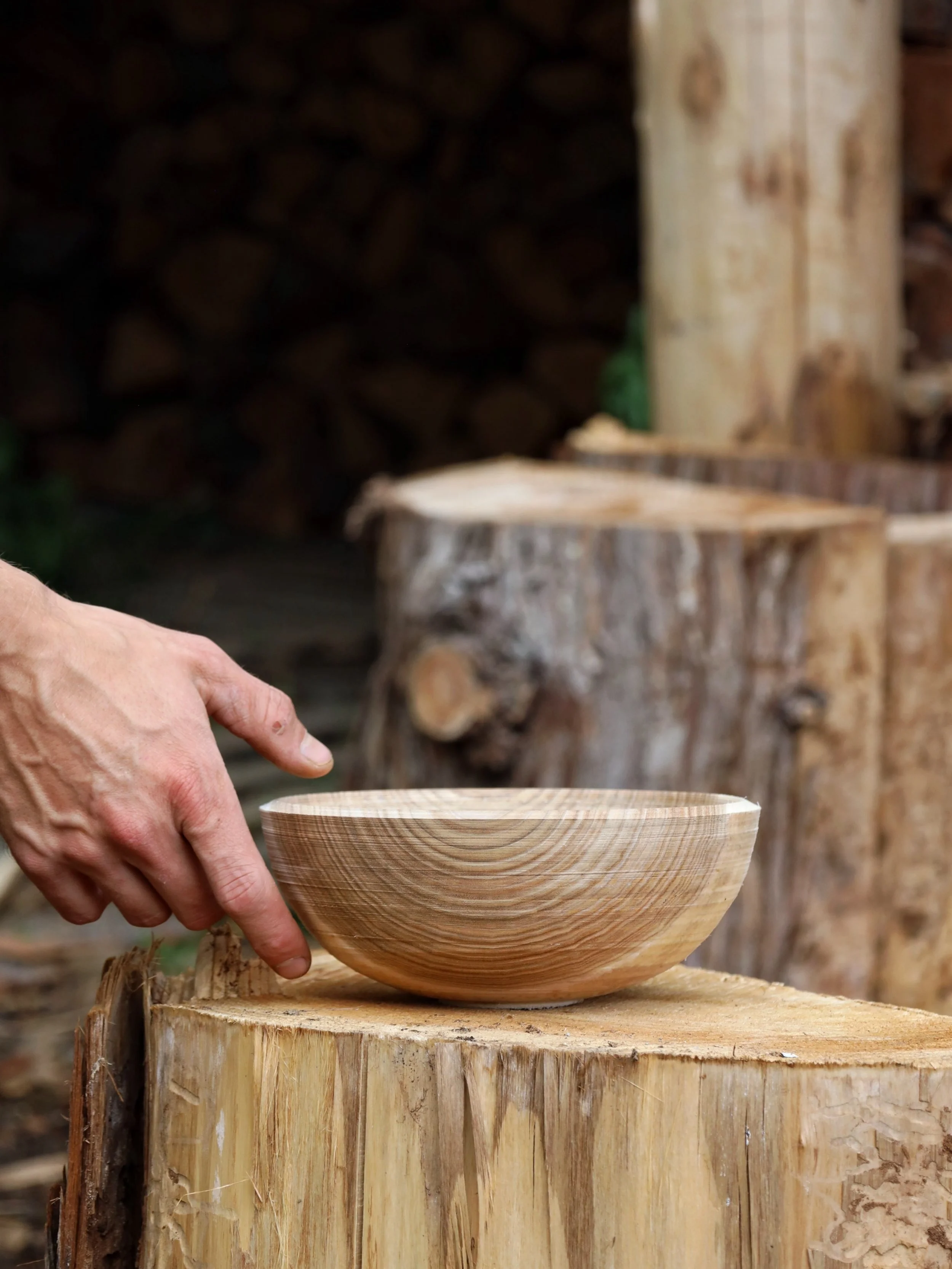 Ramen bowl in Butternut, fresh off the lathe. 

First time working this species and it turned quite nicely and cut fast. Although I think given a little more time to mellow it will cut even better, especially in the side grain. 

I have a whole pile 