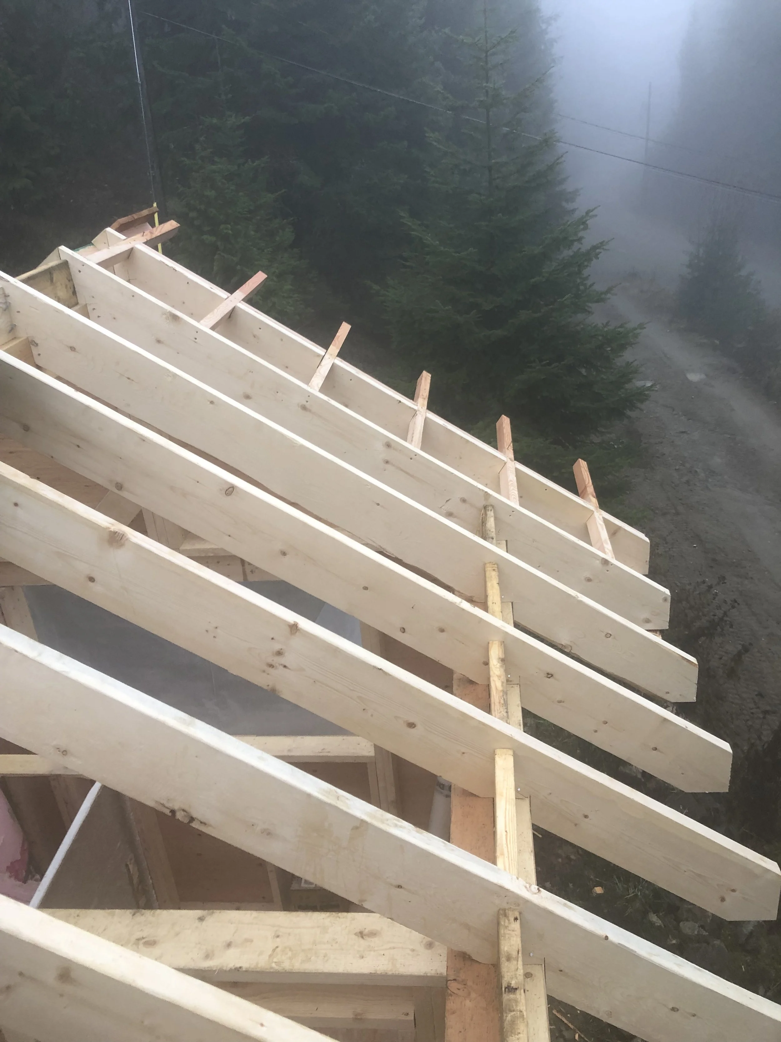jackofallgrains-custom-carpentry-nelson-bc-wash-house-2.jpg