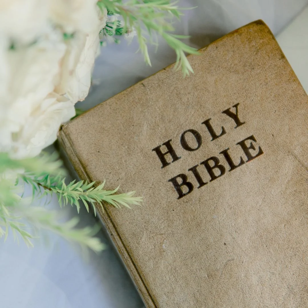 Gather Bible Study Preview