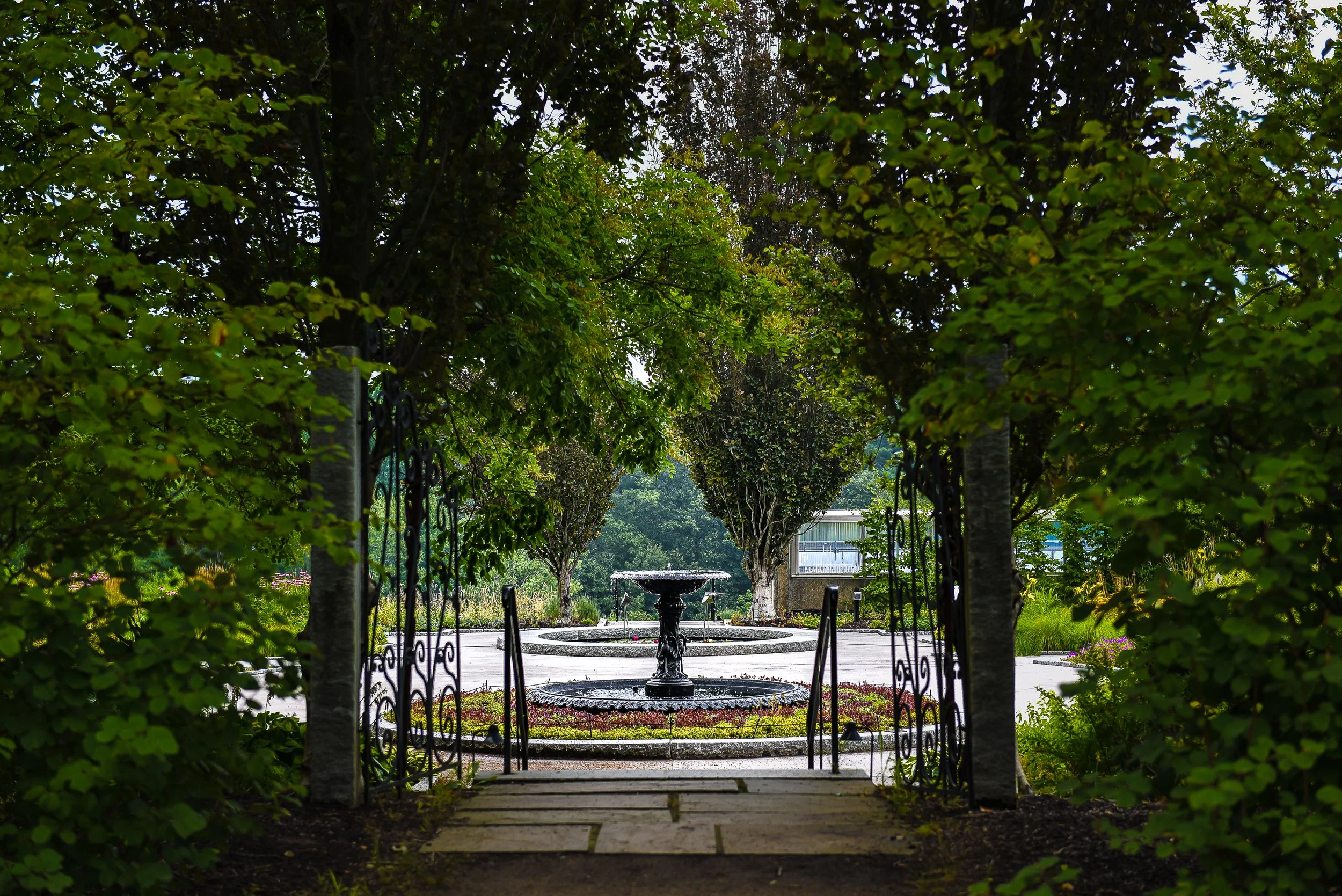 SJanePhoto-3.jpg