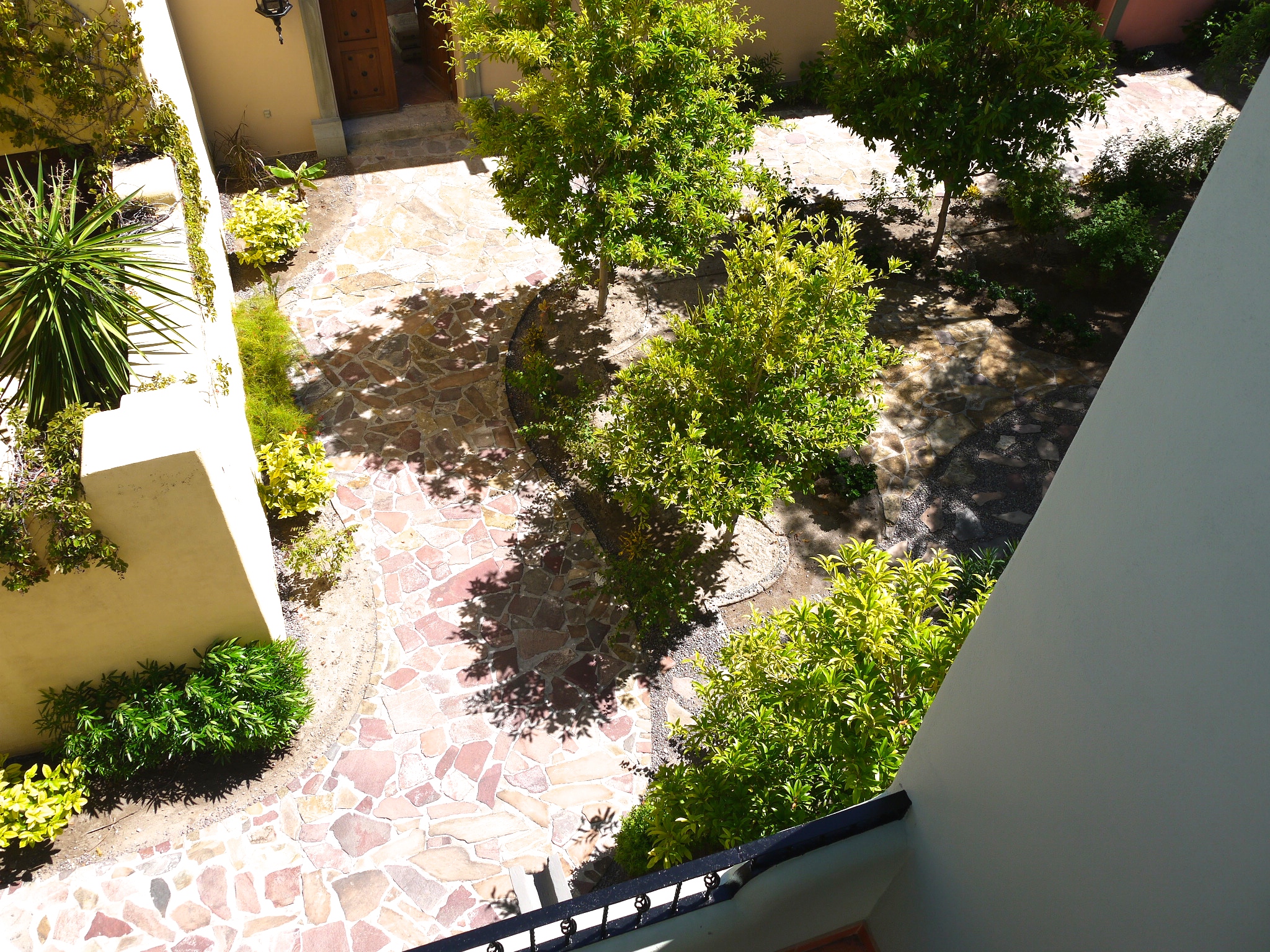 Garden courtyard behind Casa Buena Vista, shared with neighbors 