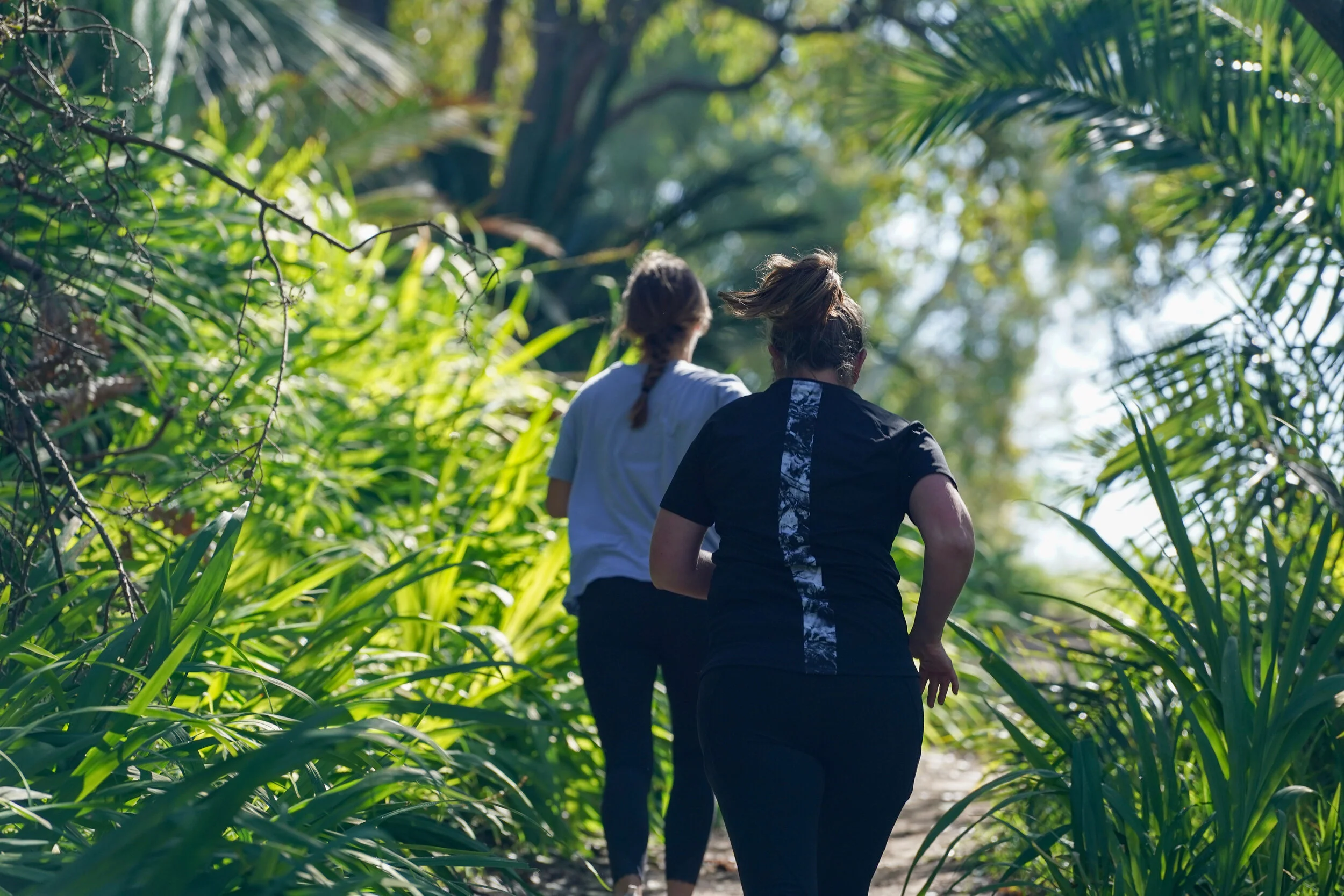 Stature — Lily Brazel