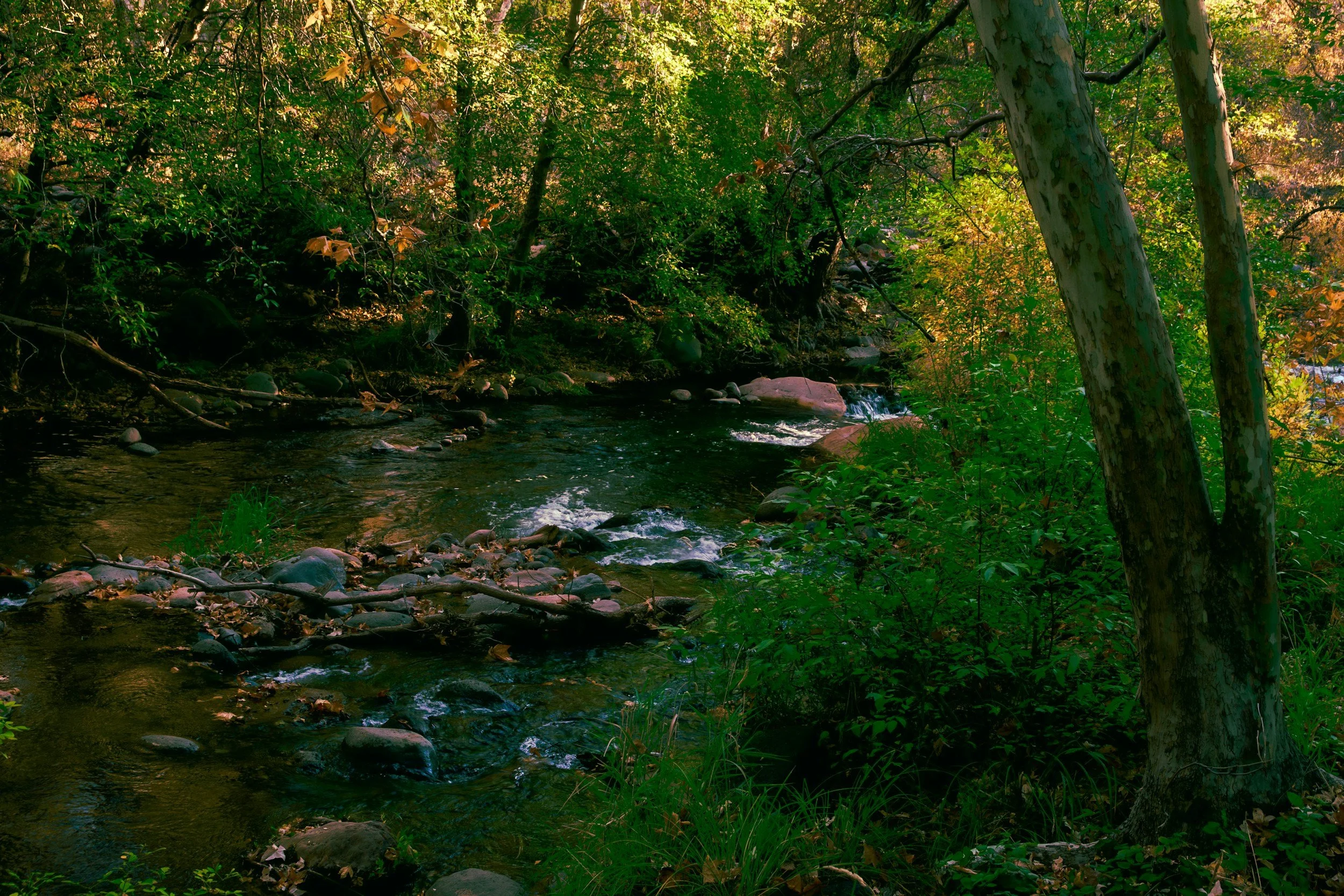 unsplash-image-piU4TBseqkU.jpg