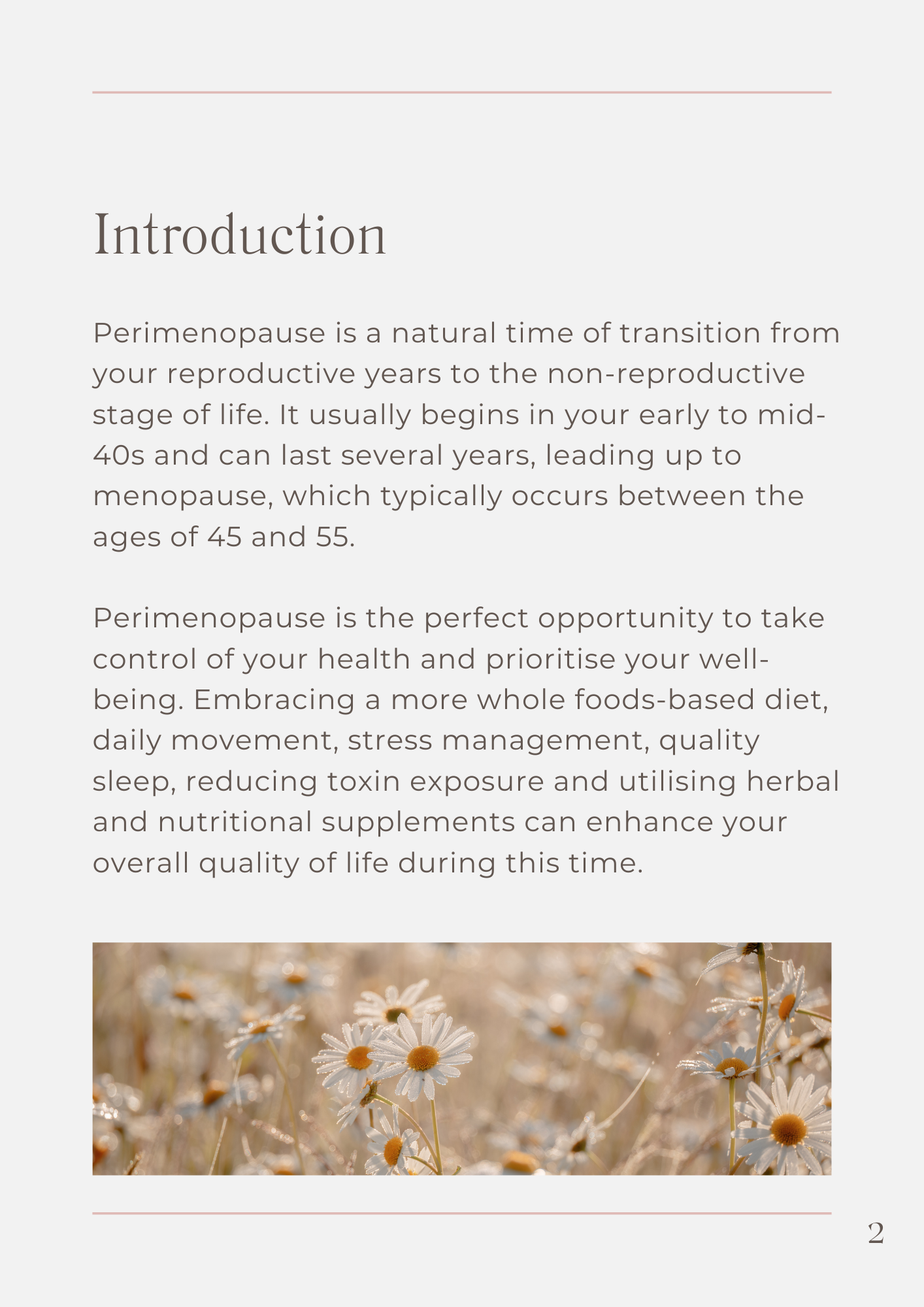Perimenopaue ebook p2.png