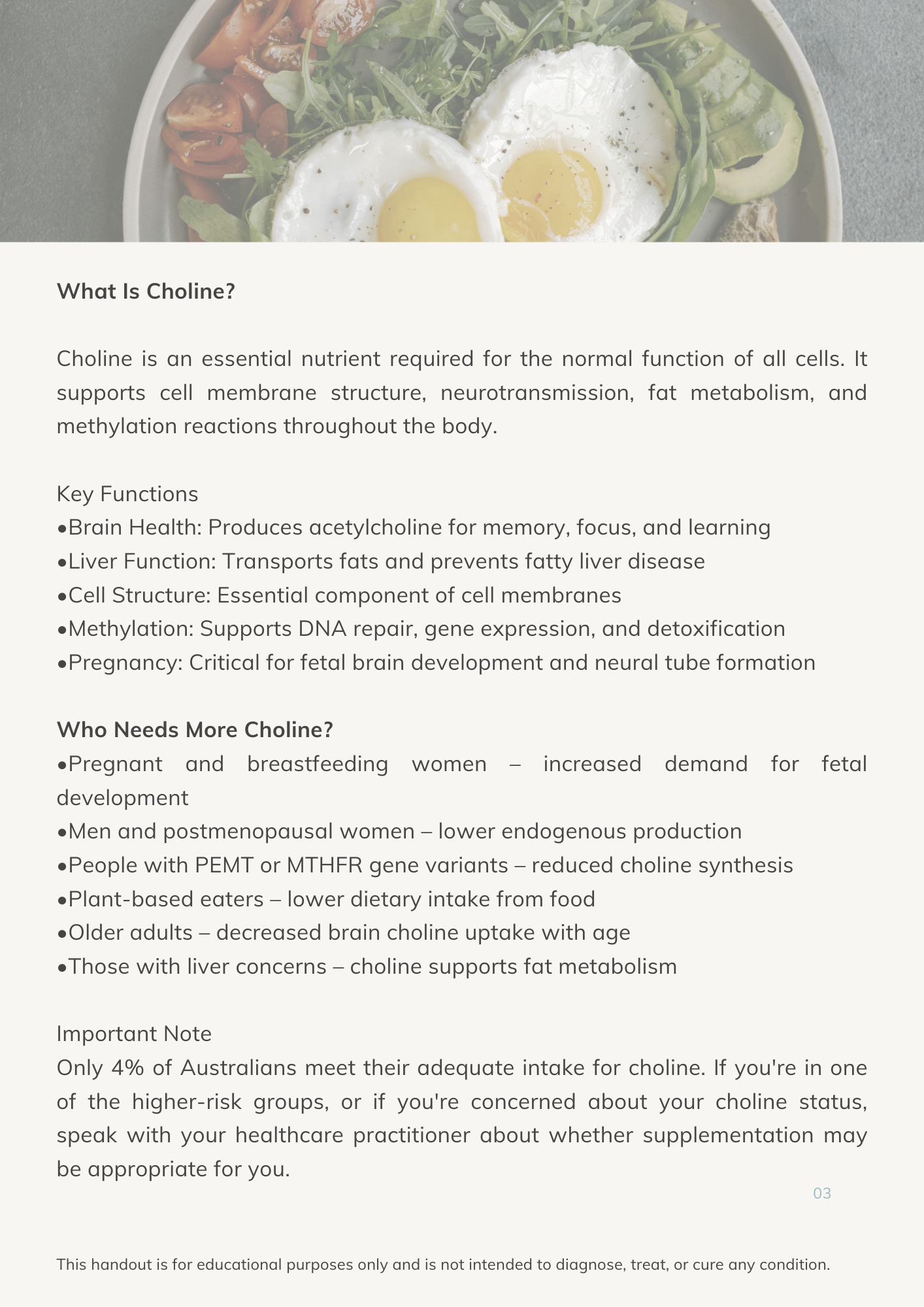 choline doc page 2.png