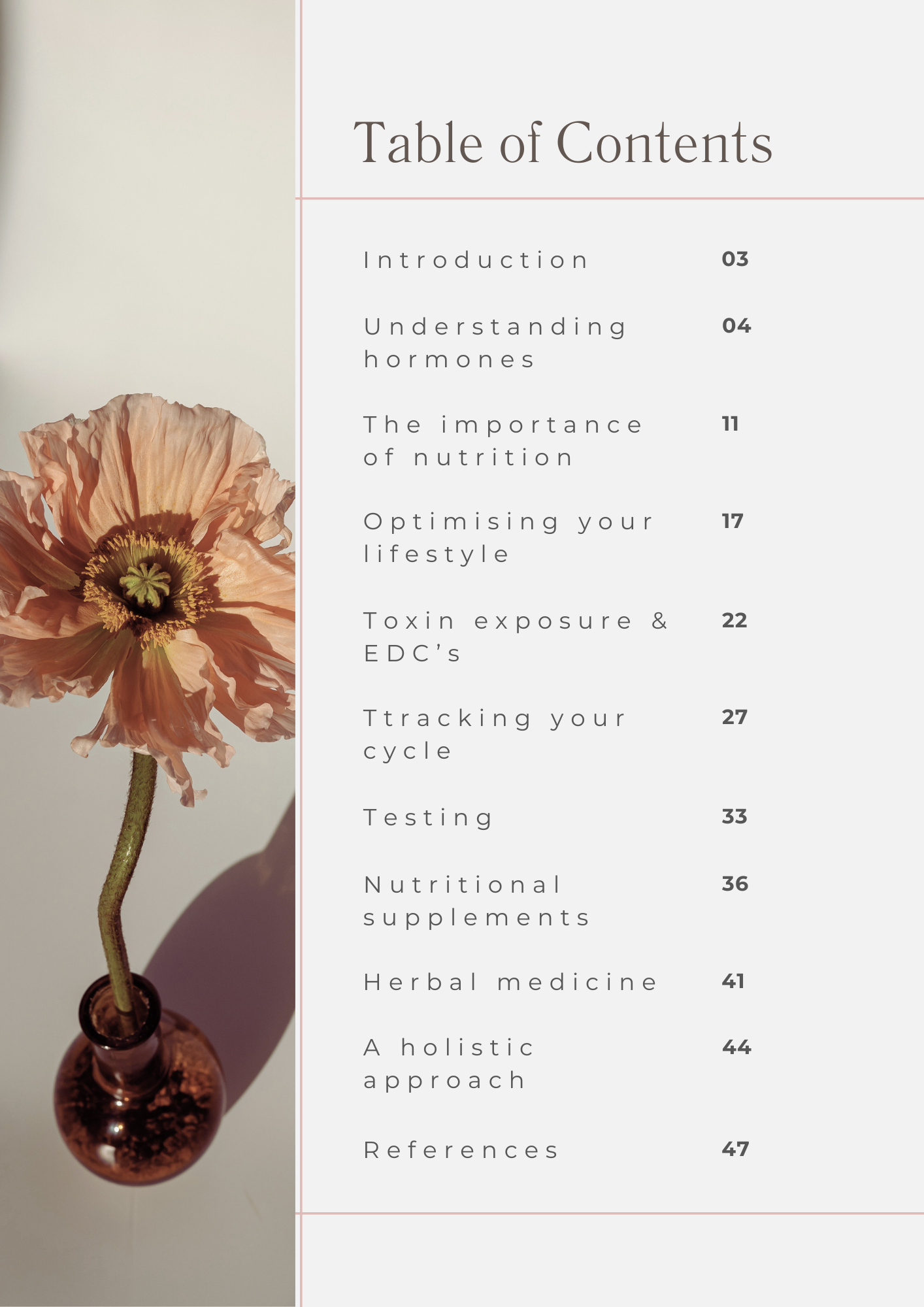 Hormone E book 2.png