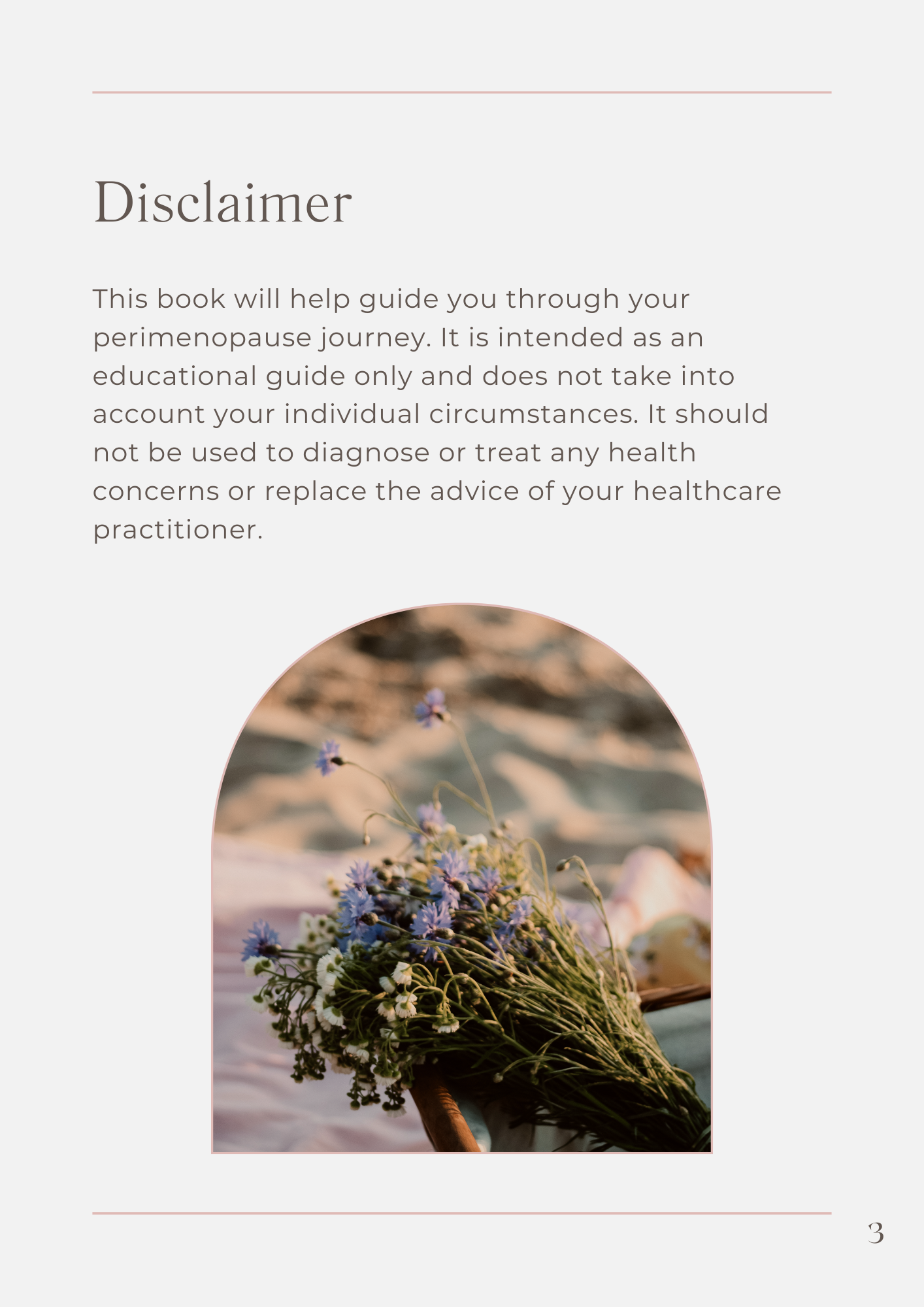 Perimenopause Guide page 3.png