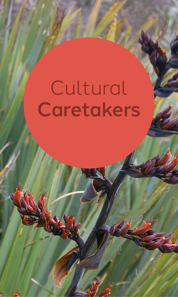 Protecting and regenerating our unique cultural and environmental heritage so that we can retain a strong sense of identity for current and future generations.