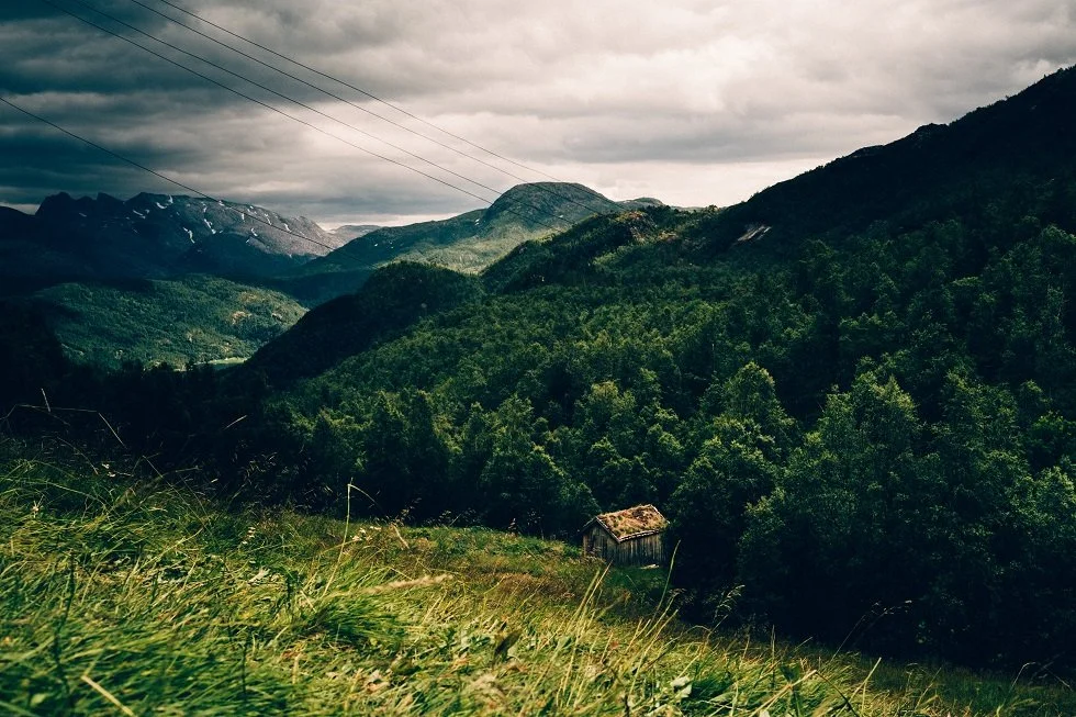 untitled shoot-0159-SMALL.jpg