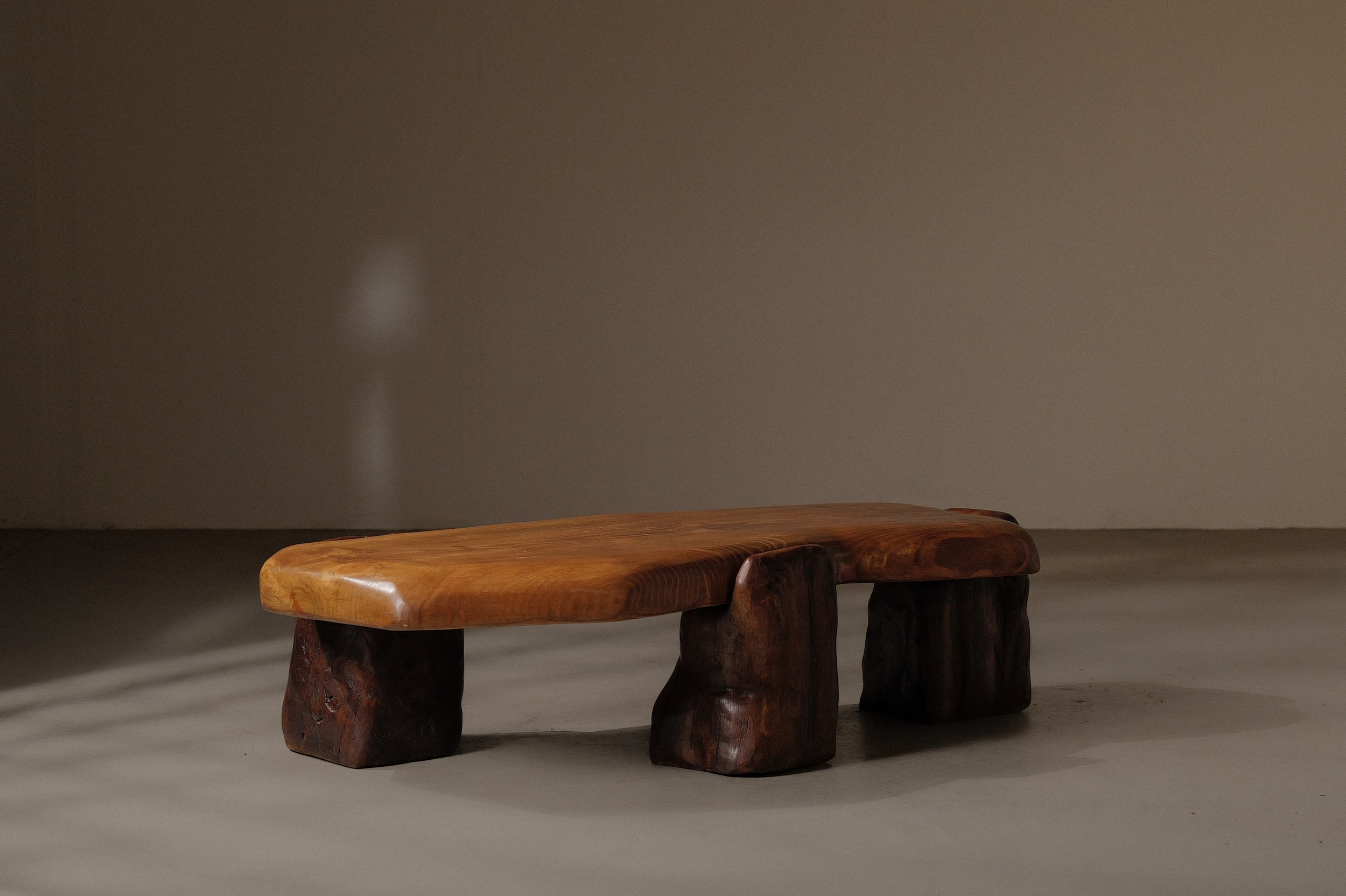 20250228T-table-basse-abrupts-chene-et-pin-massif-5.jpg
