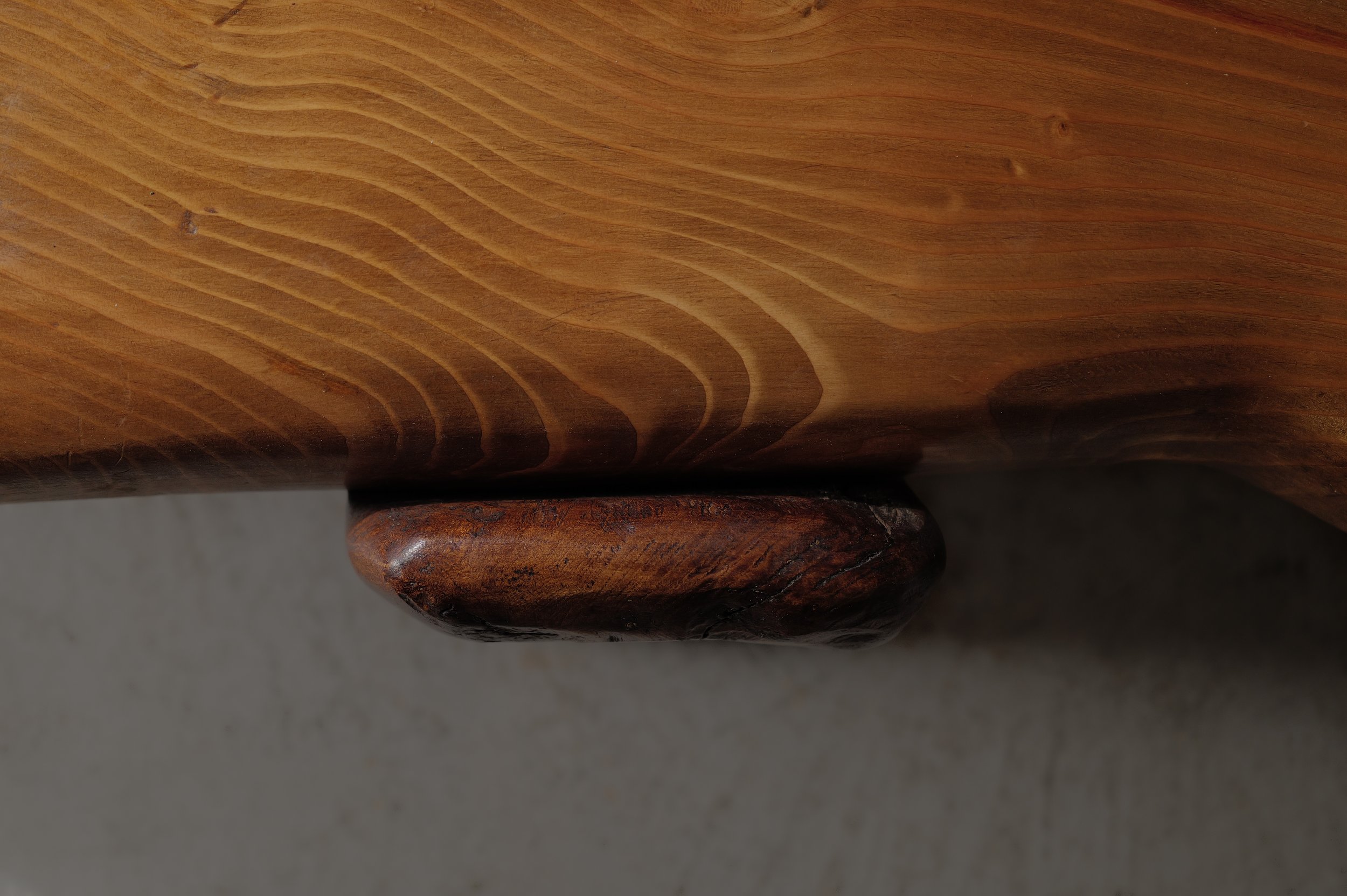 20250228T-table-basse-abrupts-chene-et-pin-massif-8.jpg