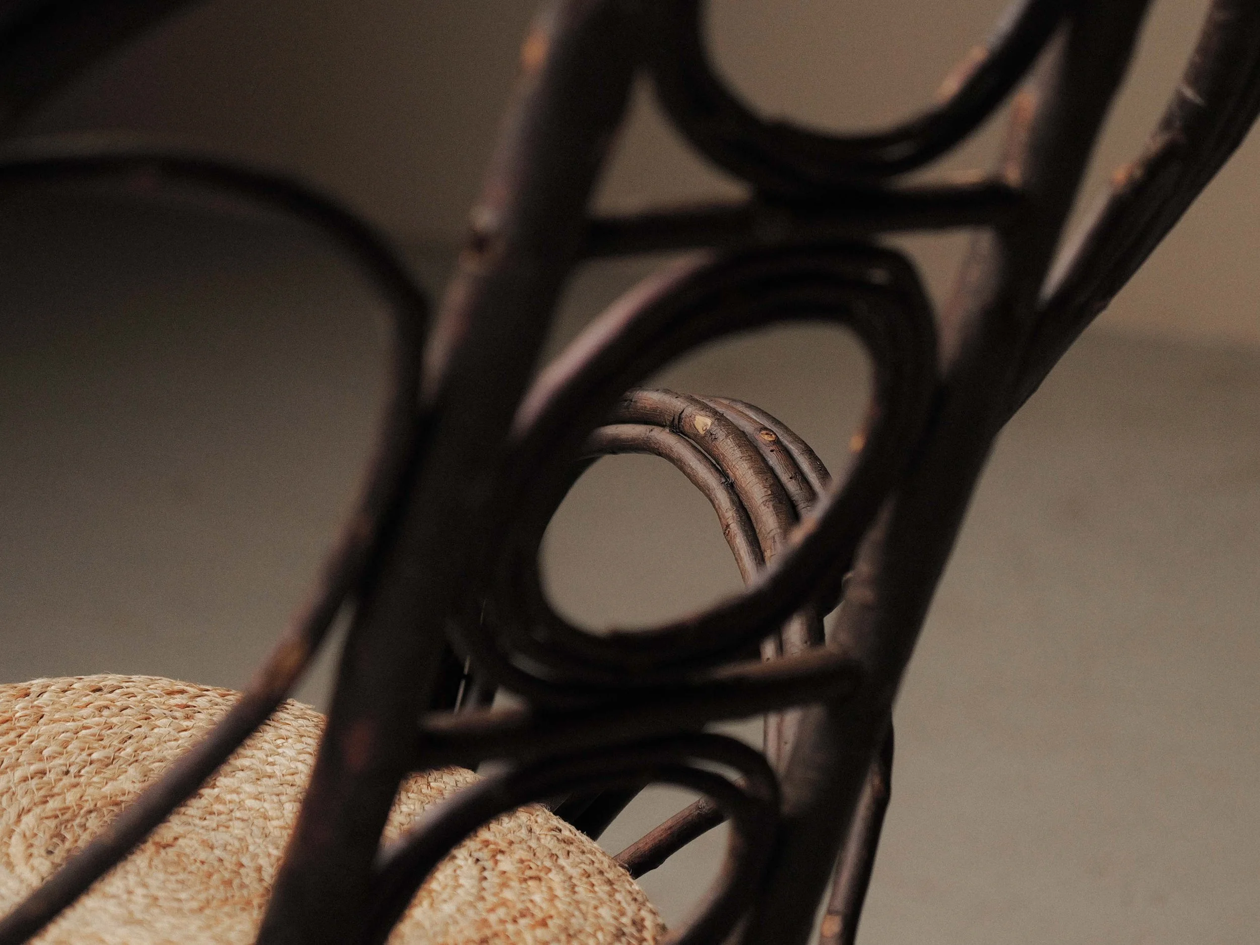 20261014A-Fauteuil-sculptural-en-branche-de-noisetier-artisanal-travail-populaire-auvergne-vers-1900-17.jpg