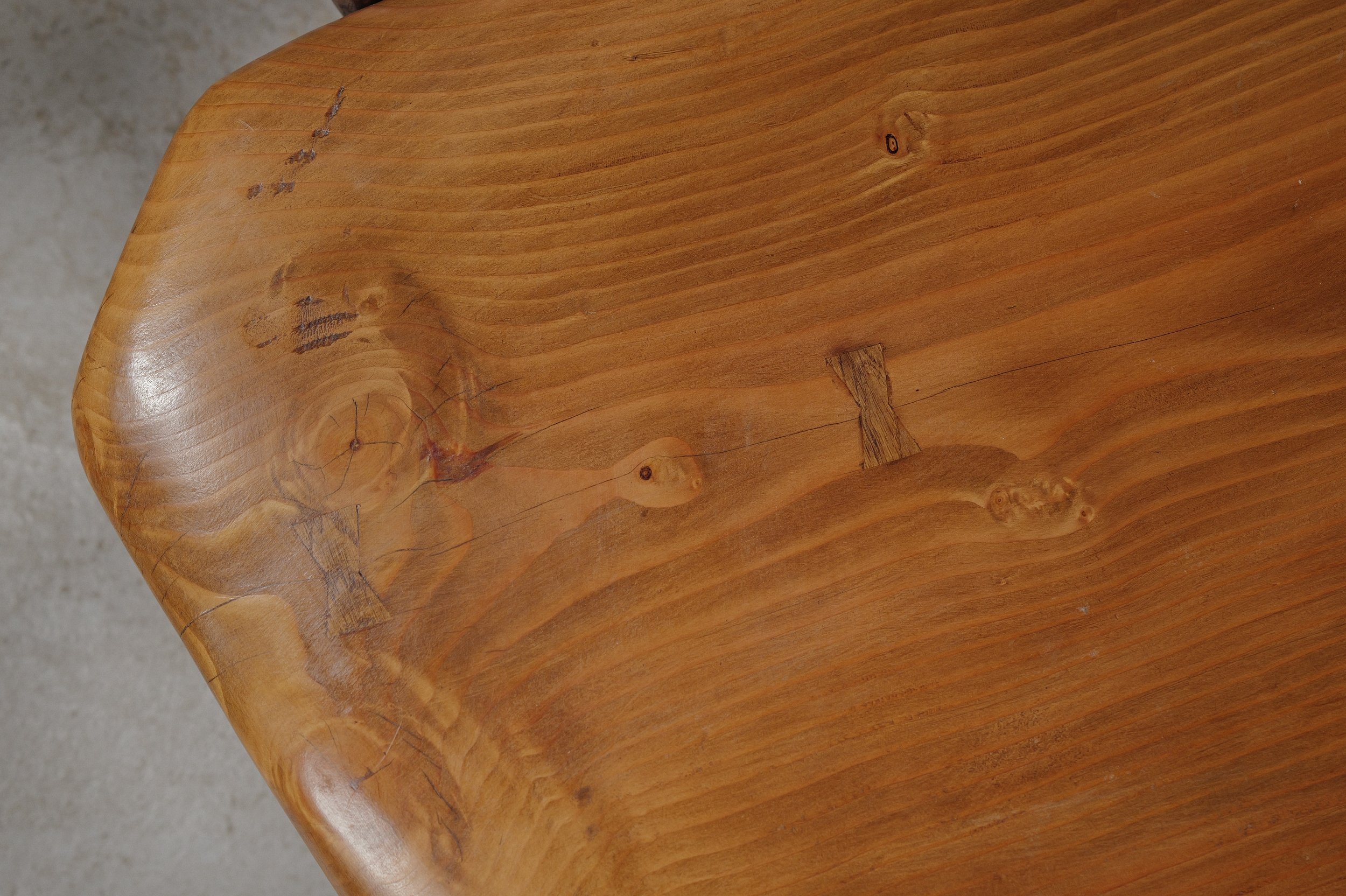 20250228T-table-basse-abrupts-chene-et-pin-massif-7.jpg