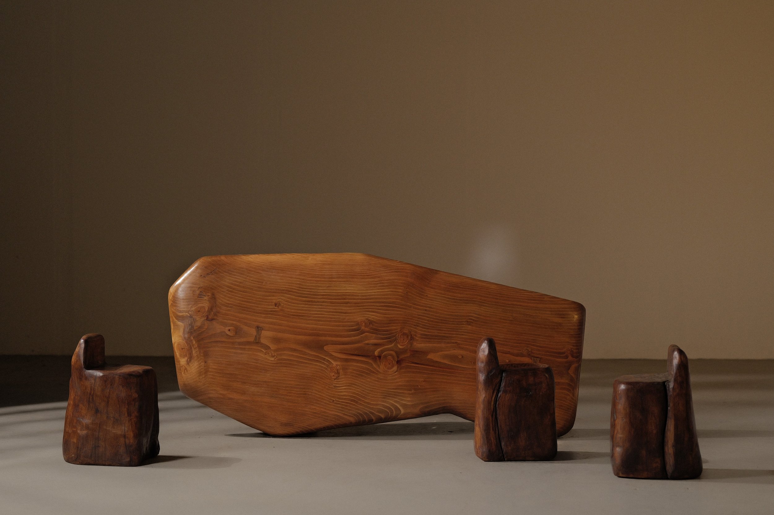 20250228T-table-basse-abrupts-chene-et-pin-massif-16.jpg