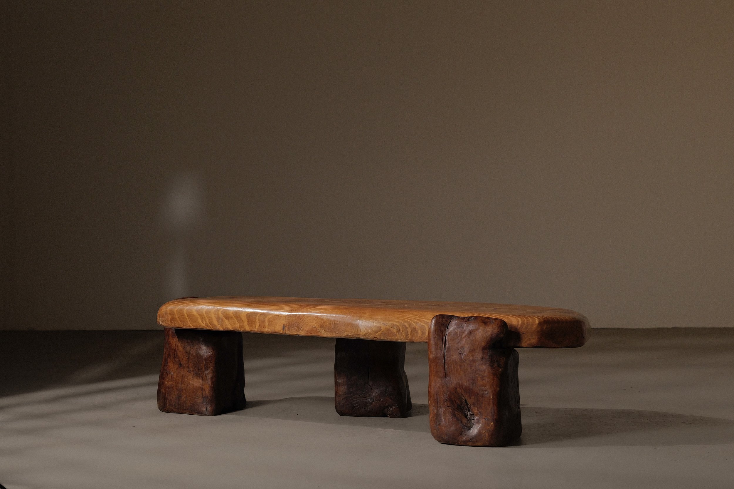 20250228T-table-basse-abrupts-chene-et-pin-massif-14.jpg