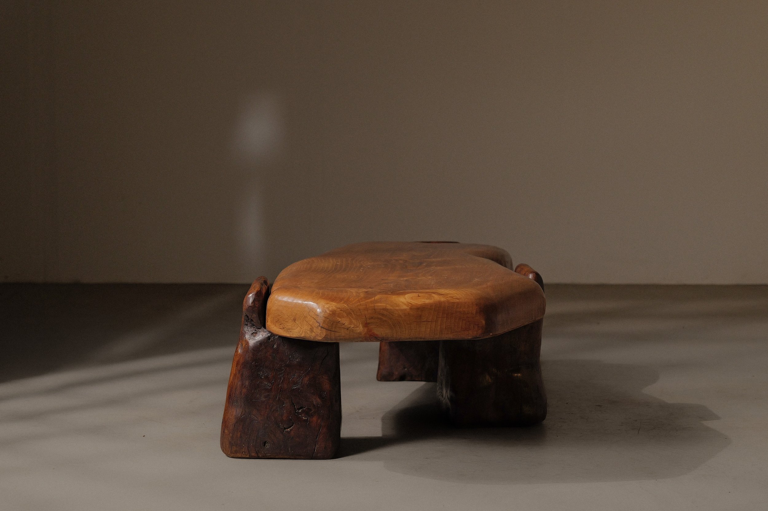 20250228T-table-basse-abrupts-chene-et-pin-massif-10.jpg