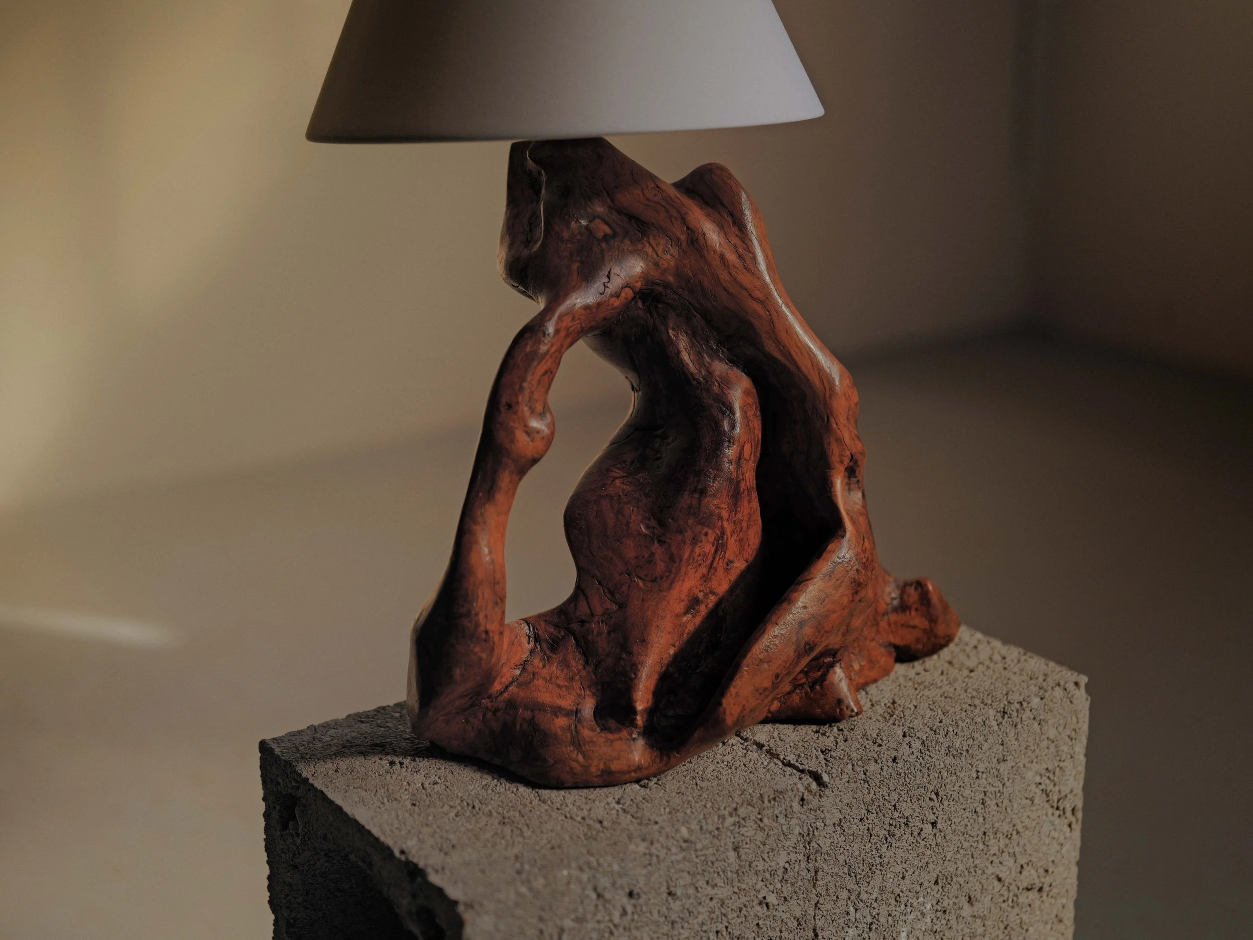 20260929L-lampe-brutaliste-artisanale-en-olivier-massif-provence-vers-1960-4.jpg