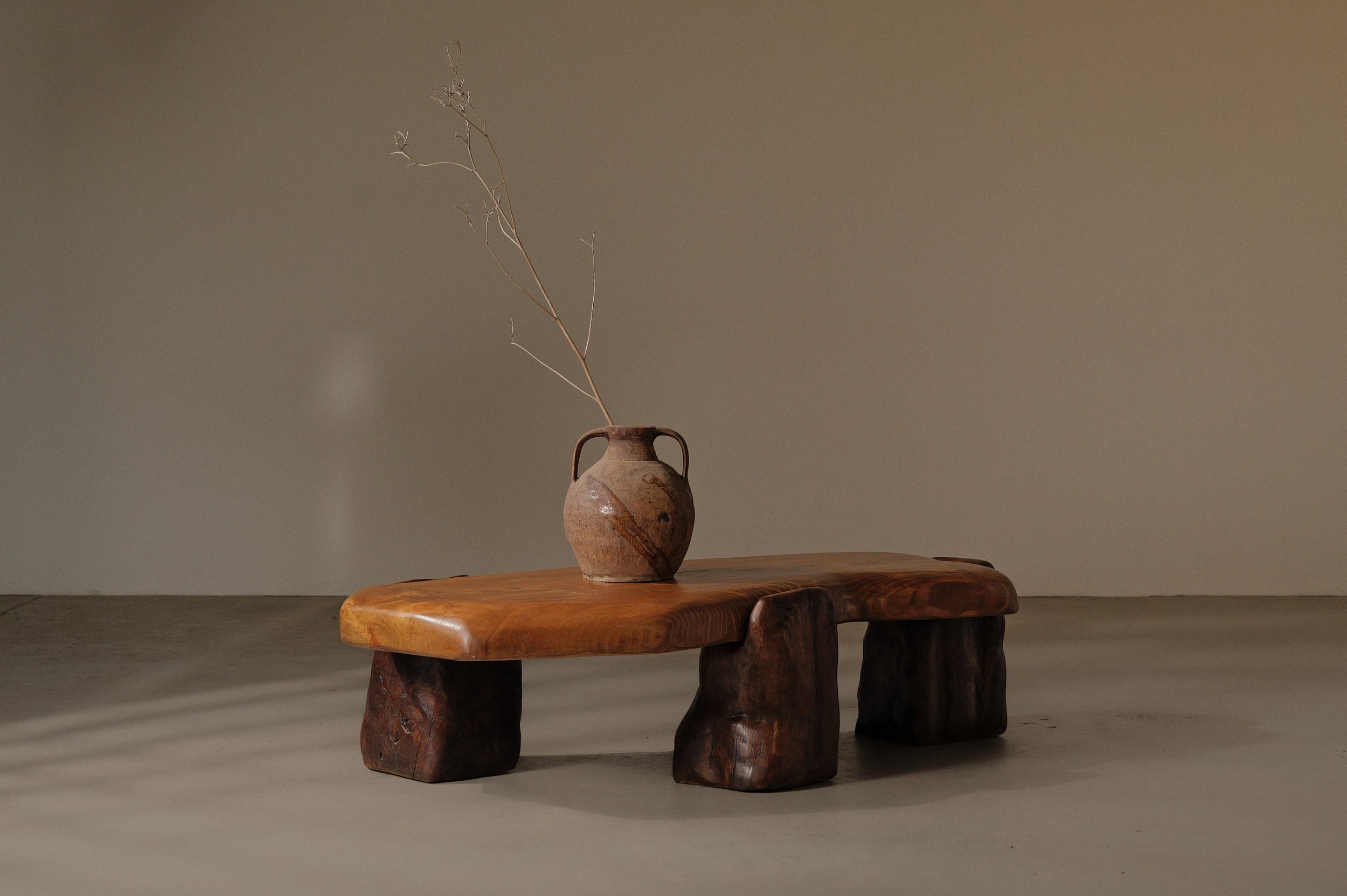 20250228T-table-basse-abrupts-chene-et-pin-massif.jpg