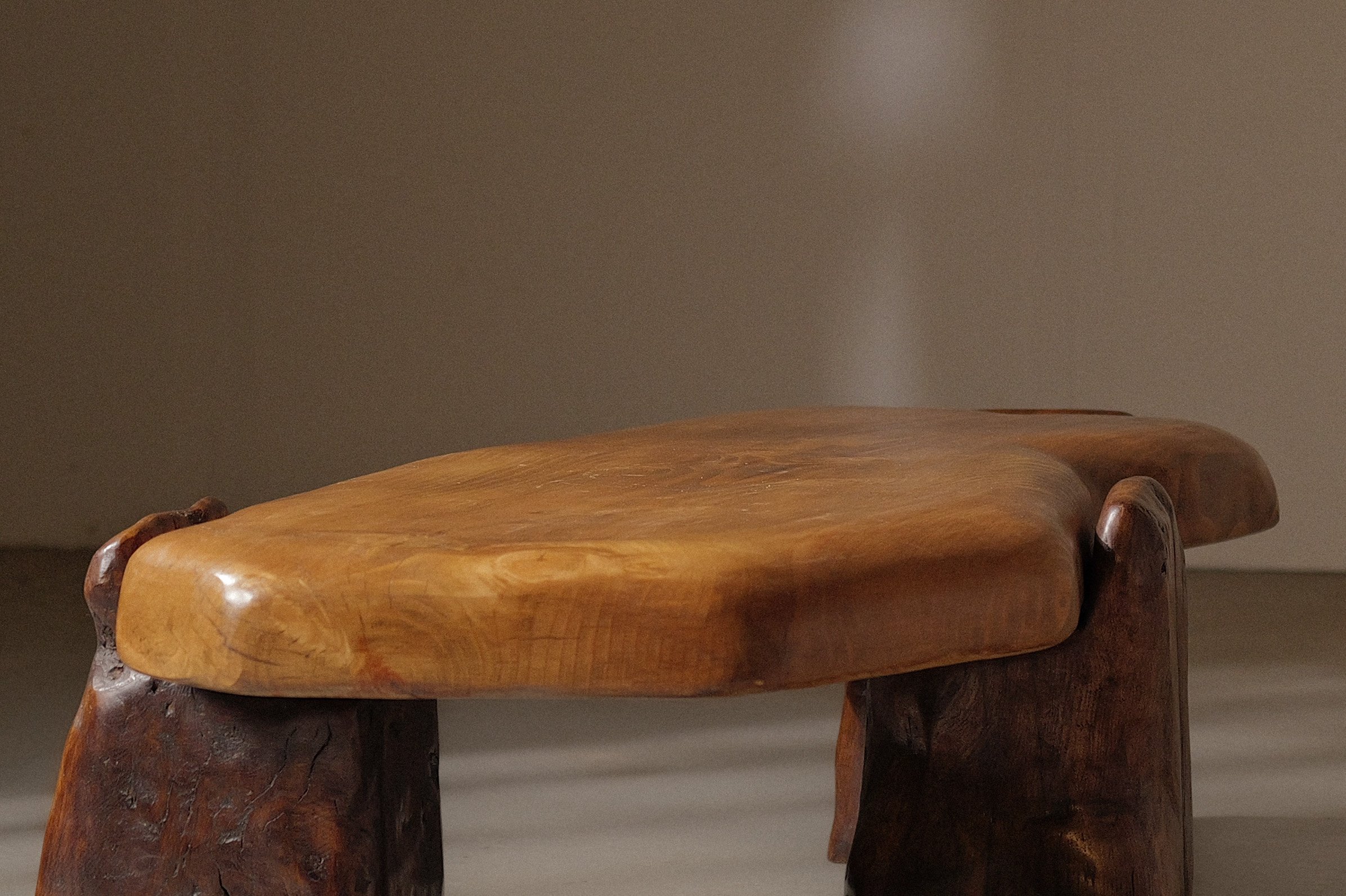 20250228T-table-basse-abrupts-chene-et-pin-massif-11.jpg