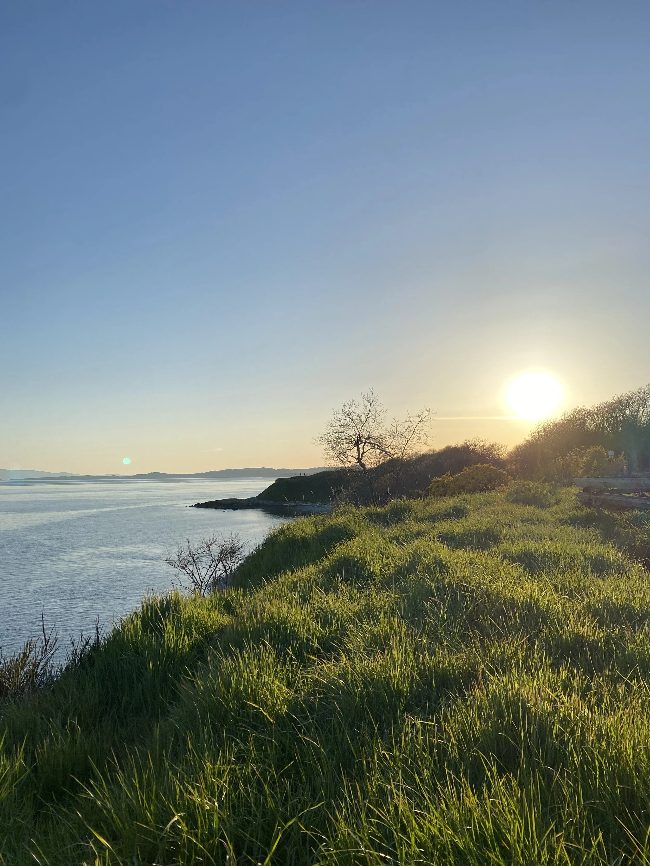 Coastal cliffs and swaying green grass along Dallas Road in Victoria, BC overlooking the blue ocean.