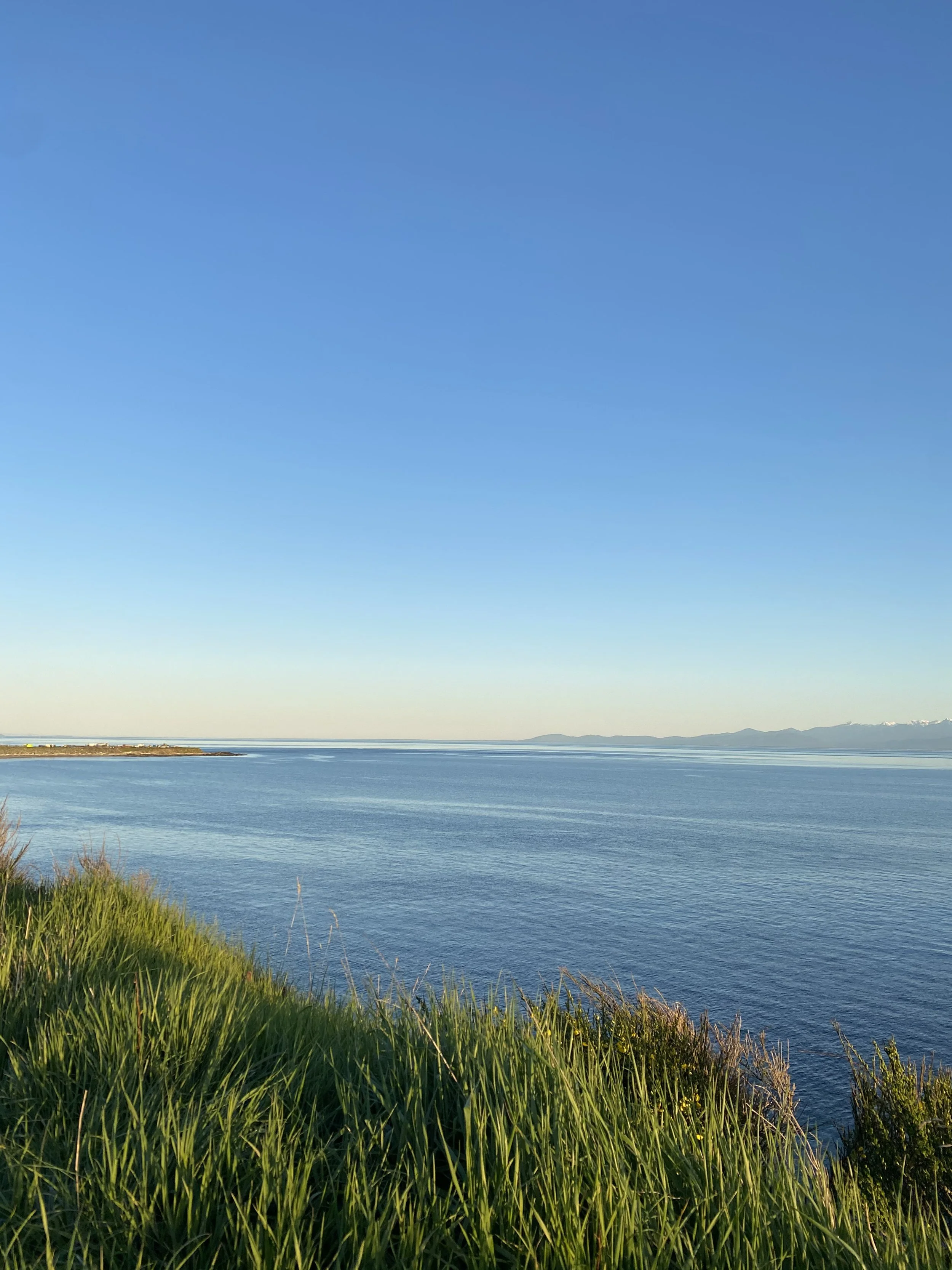 Scenic view of Dallas Road in Victoria, BC with green grass, blue ocean, and clear skies.