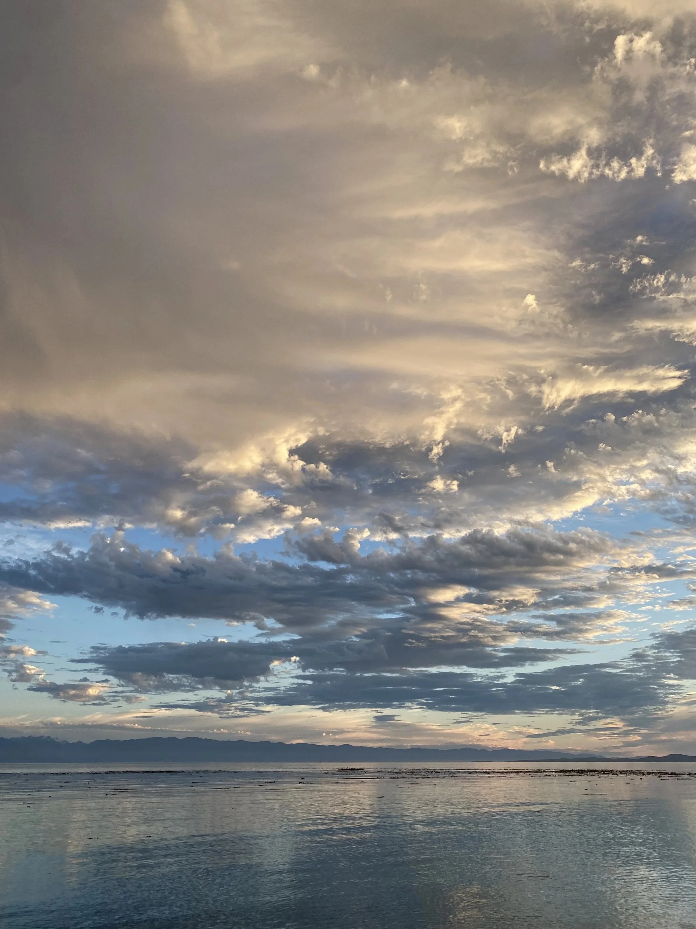 Panoramic ocean view along the coast of Victoria, British Columbia