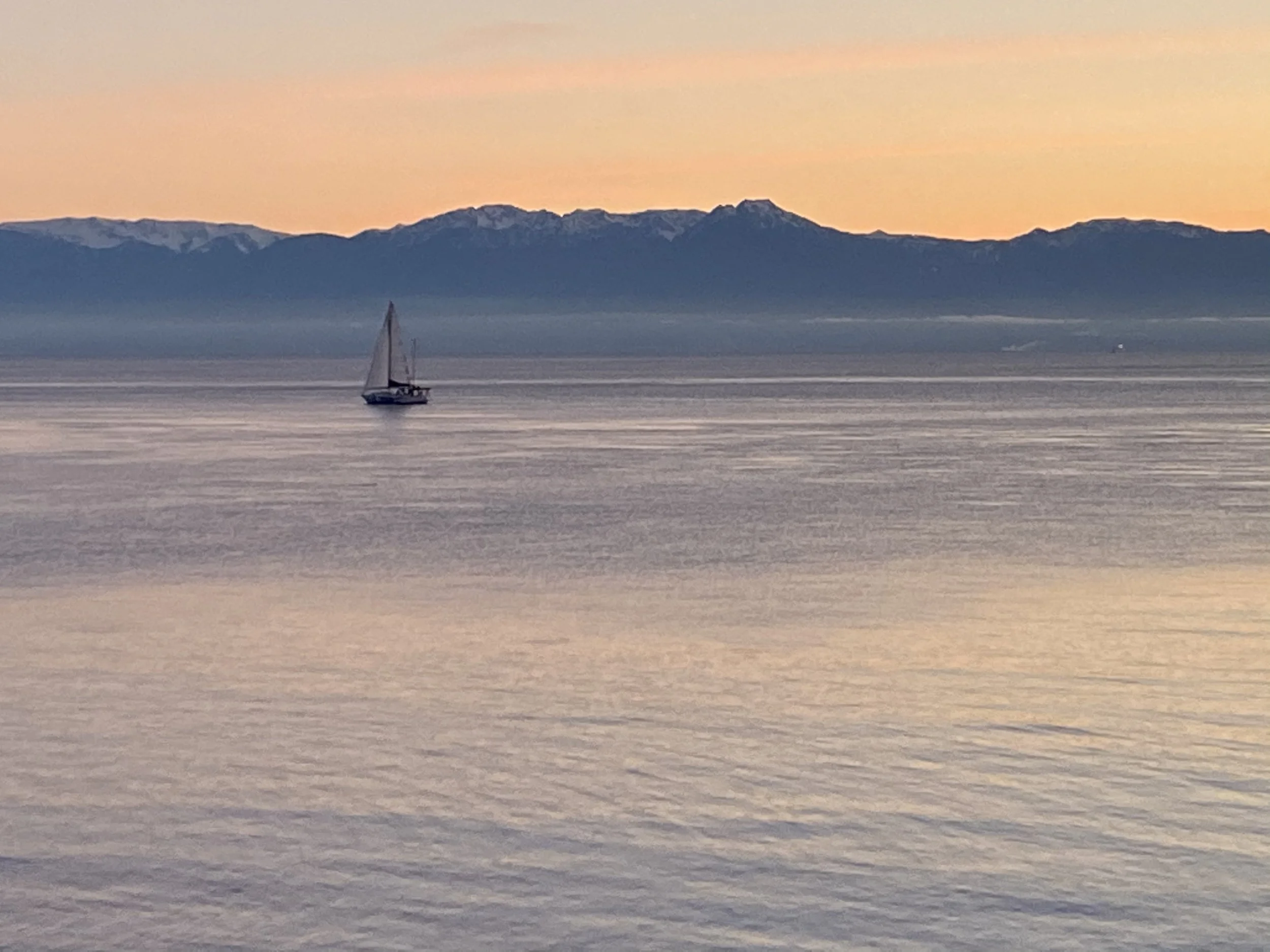 Sailboat passing through the ocean along Dallas Road in Victoria, BC with coastal views and blue water.