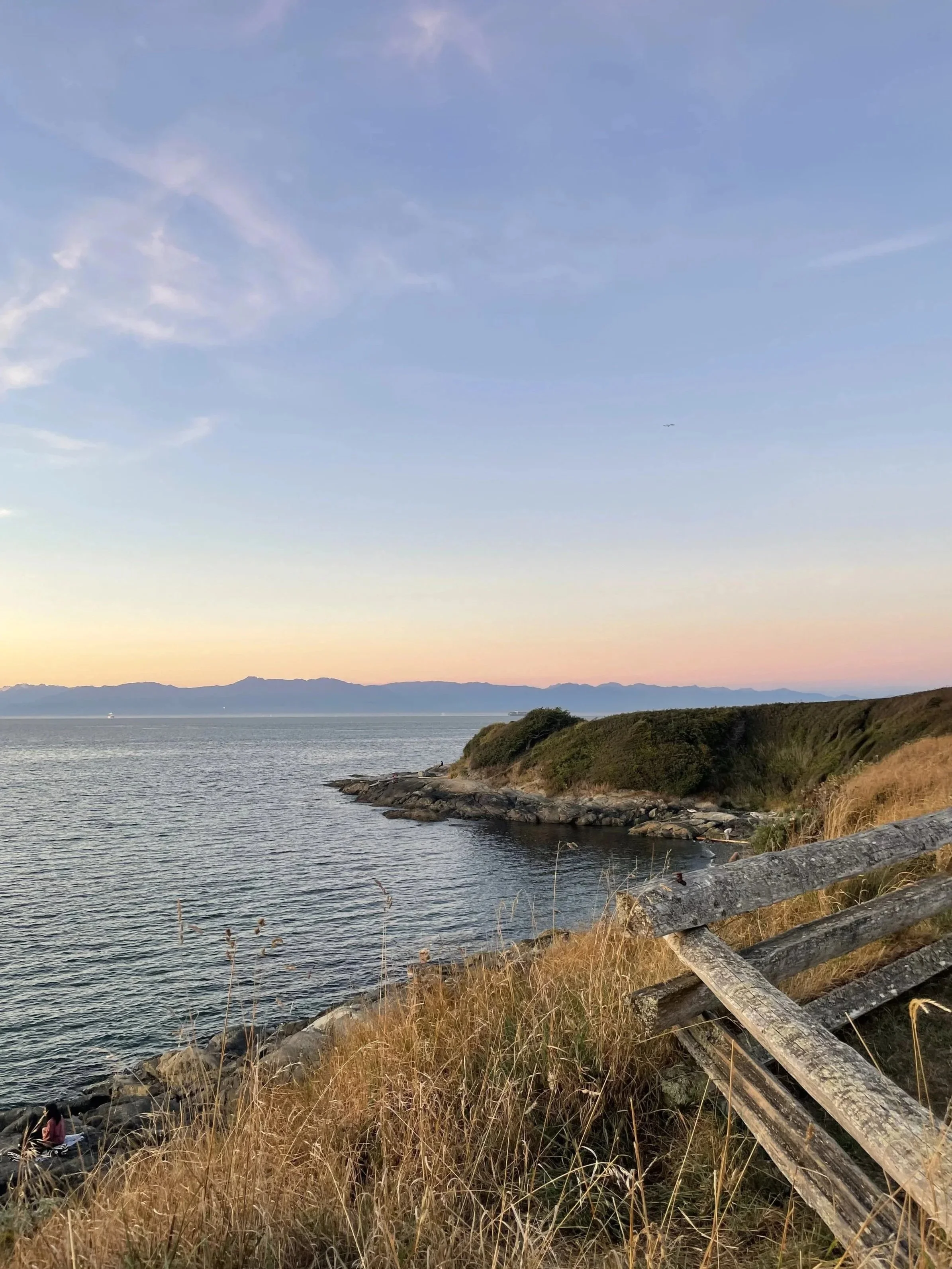 Peaceful ocean view along Dallas Road in Victoria, BC with shoreline and blue water.