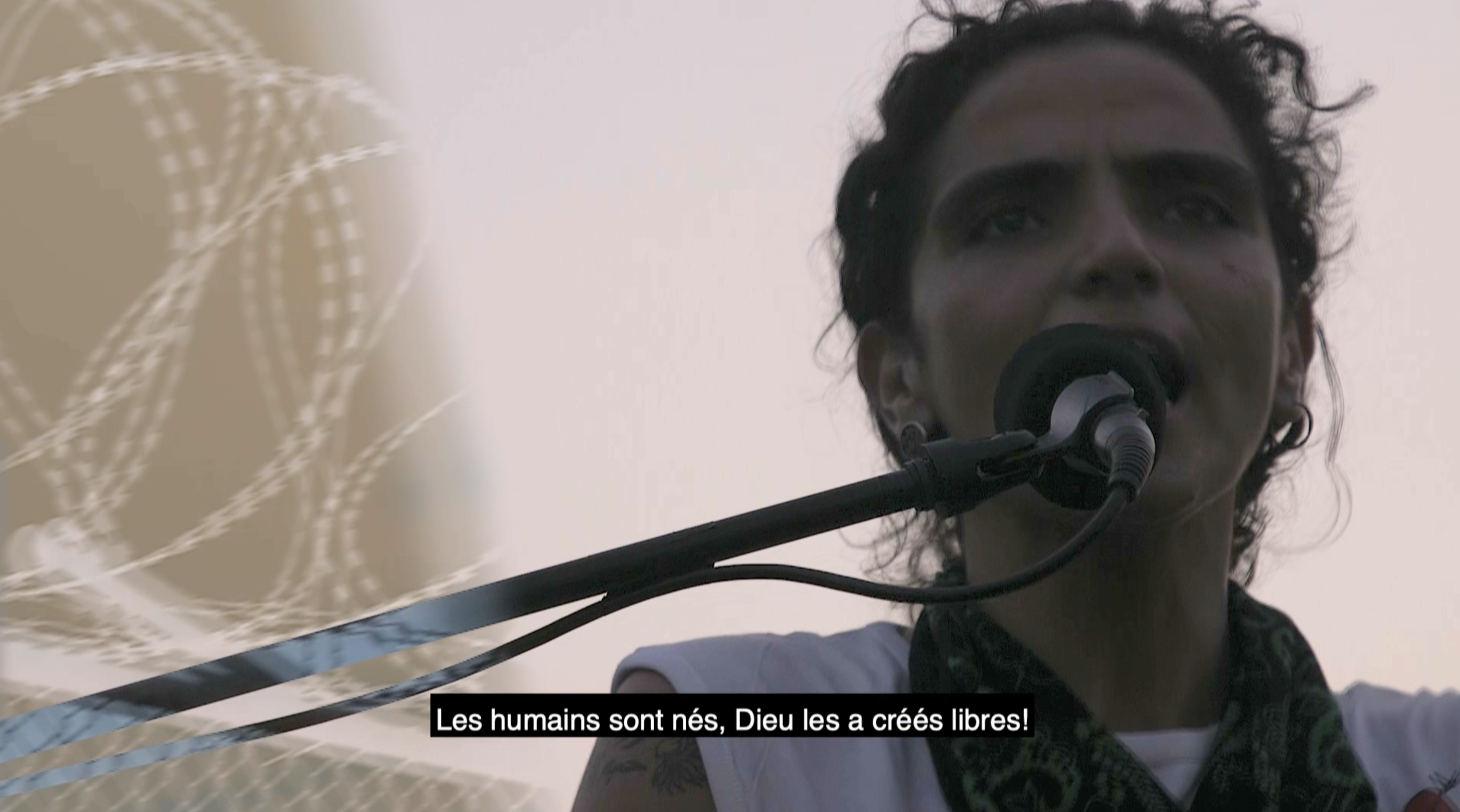 Libres.png