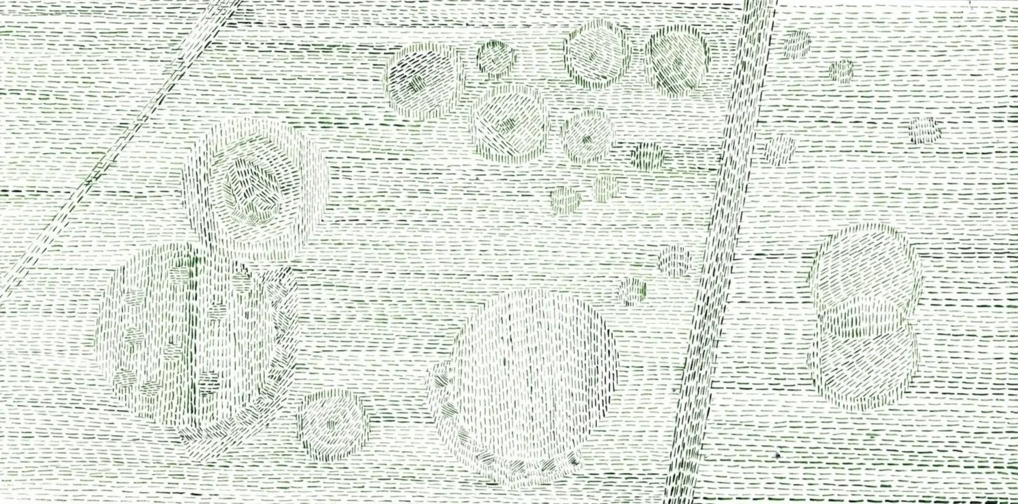 kiasma, watercolour on watercolour paper, 30x15cm, 2020. Seeds and Cells series (2018-ongoing). Shown in 2025 as part of Modern Mothering exhibition, Turku, FI.