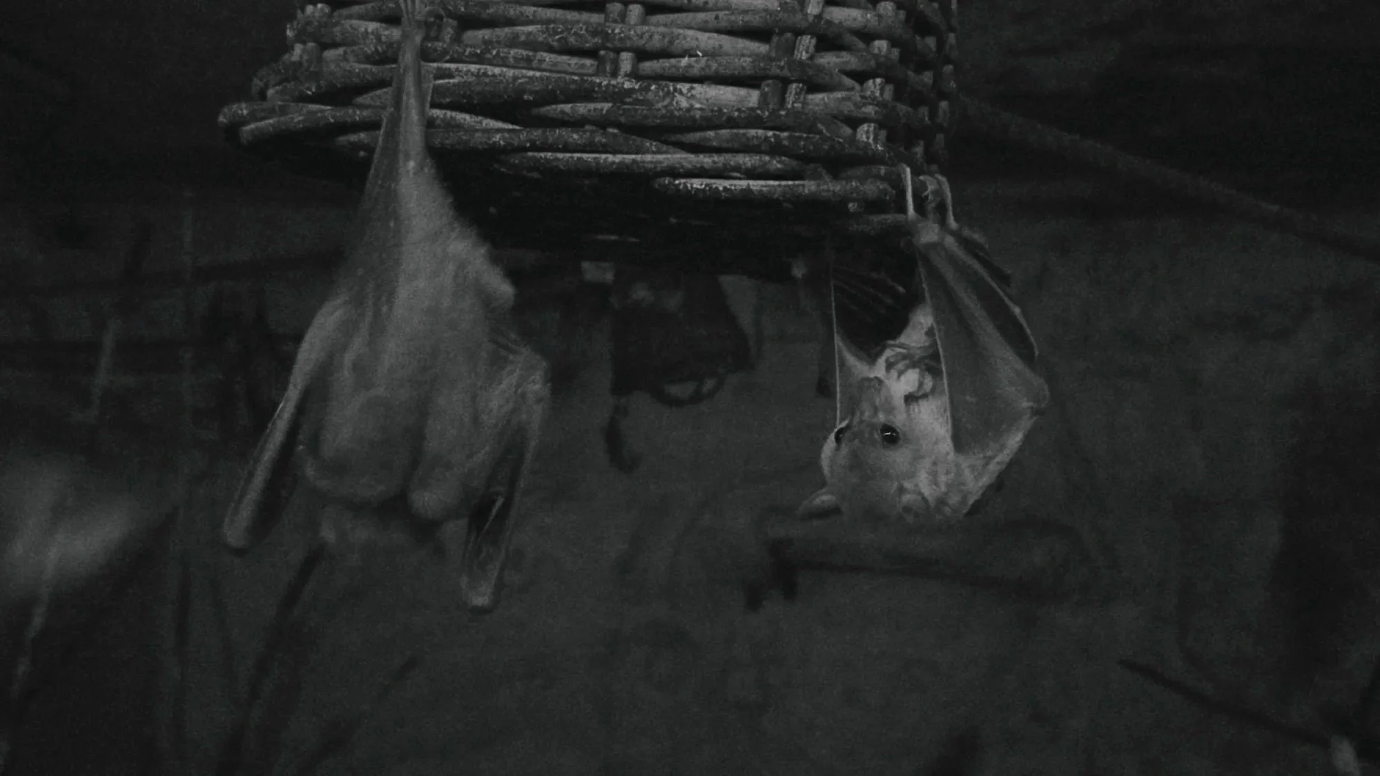 Holding The Street, 2026