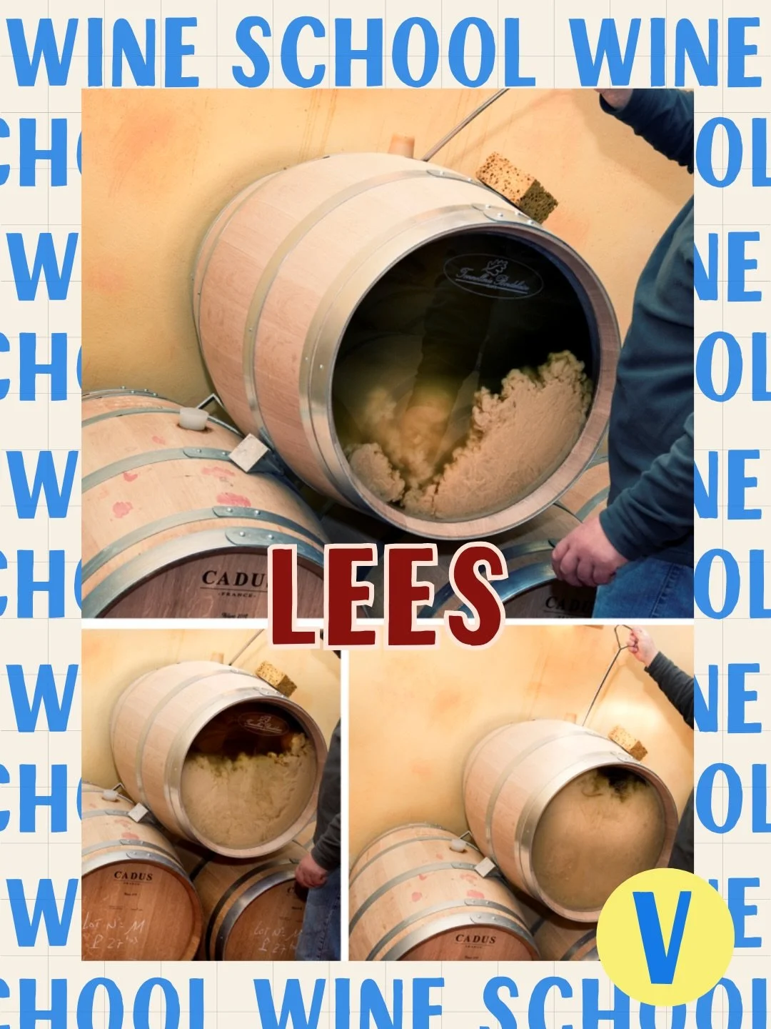 What are lees in wine? 🍷

Lees are the leftover yeast particles that settle at the bottom of a wine after fermentation - and they&rsquo;re a very good thing.

Wines aged on their lees often taste:
&bull; creamier
&bull; rounder
&bull; more textured
