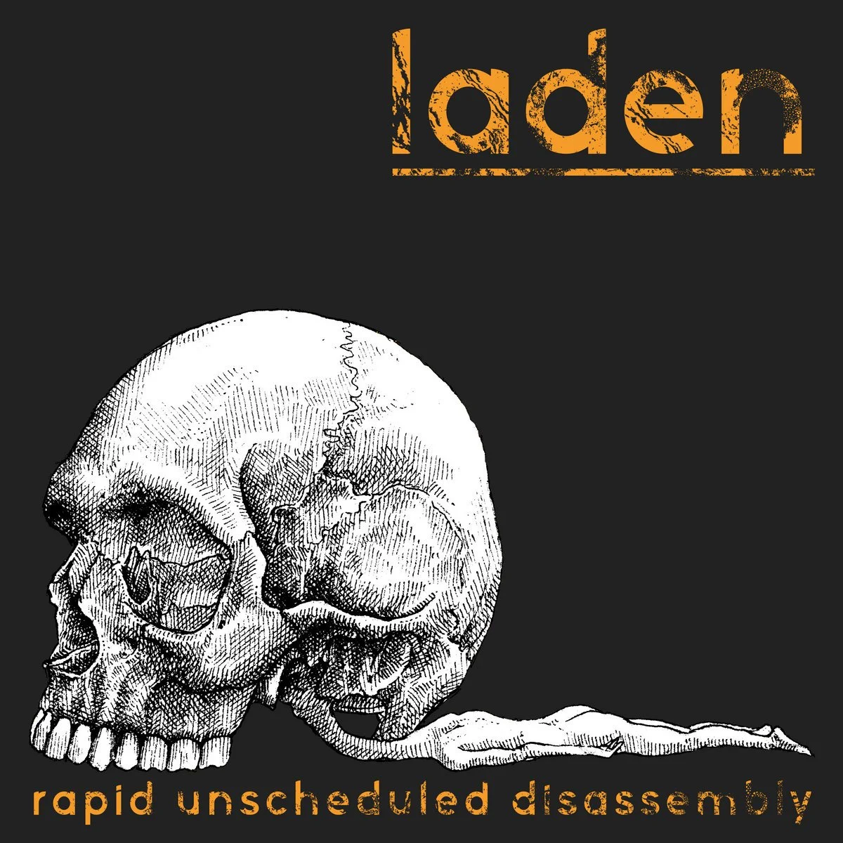 Laden - Rapid Unscheduled Disassembly