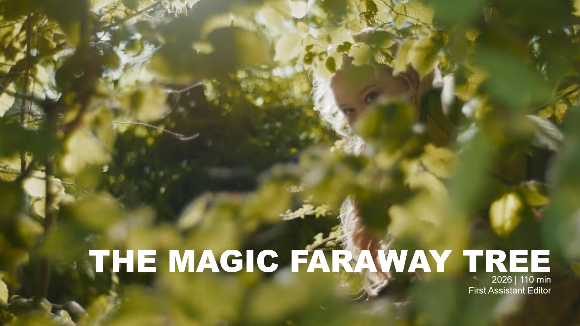 The Magic Faraway Tree