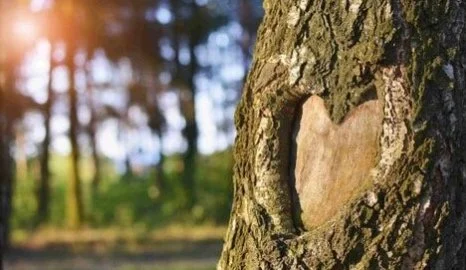 Bipolar Disorder Boundaries: 5 Tips for a Successful Relationship